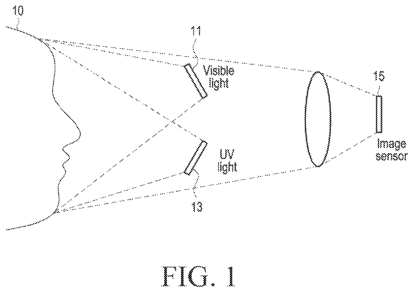 Patent US12564353 — Electronic apparatus and method for measuring skin fluorescence using electronic apparatus — Figure 1