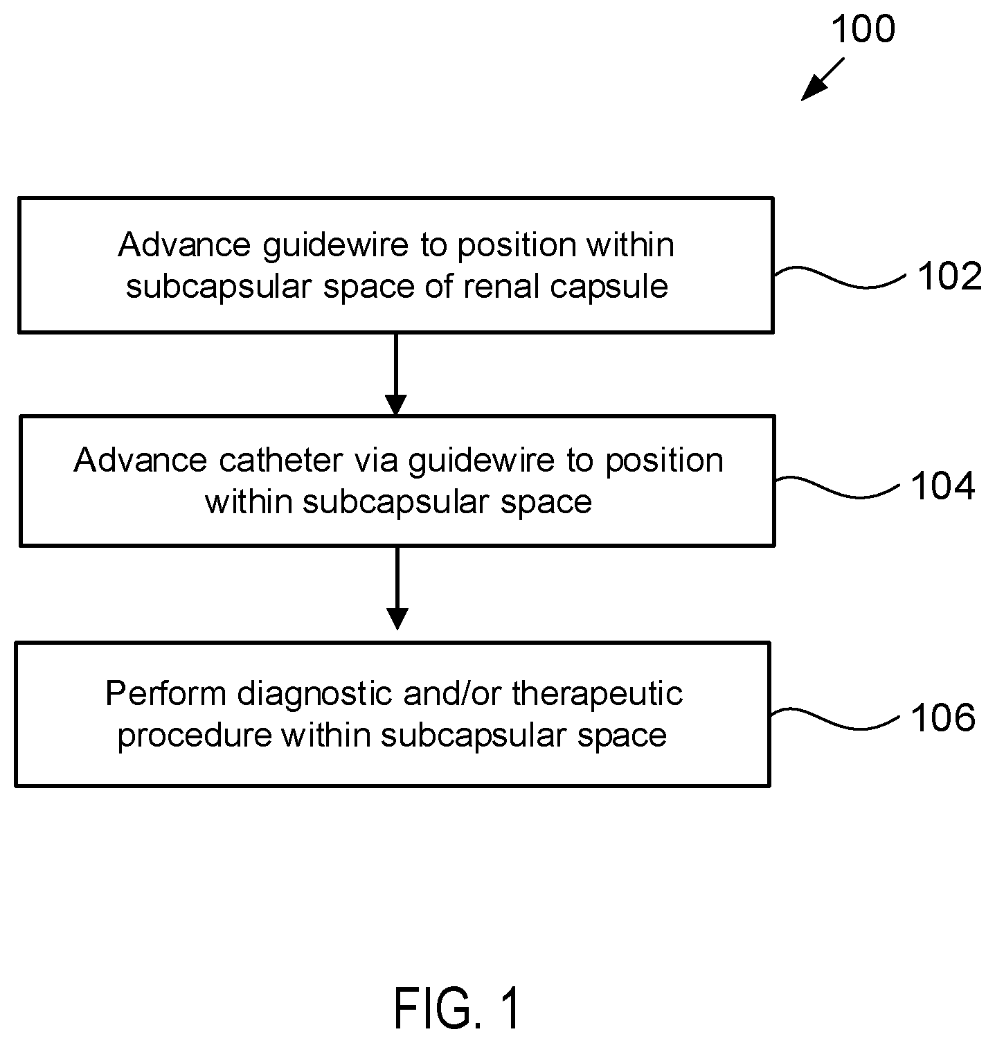 Patent US12564423 — Systems and methods for accessing a renal capsule for diagnostic and therapeutic purposes — Figure 1