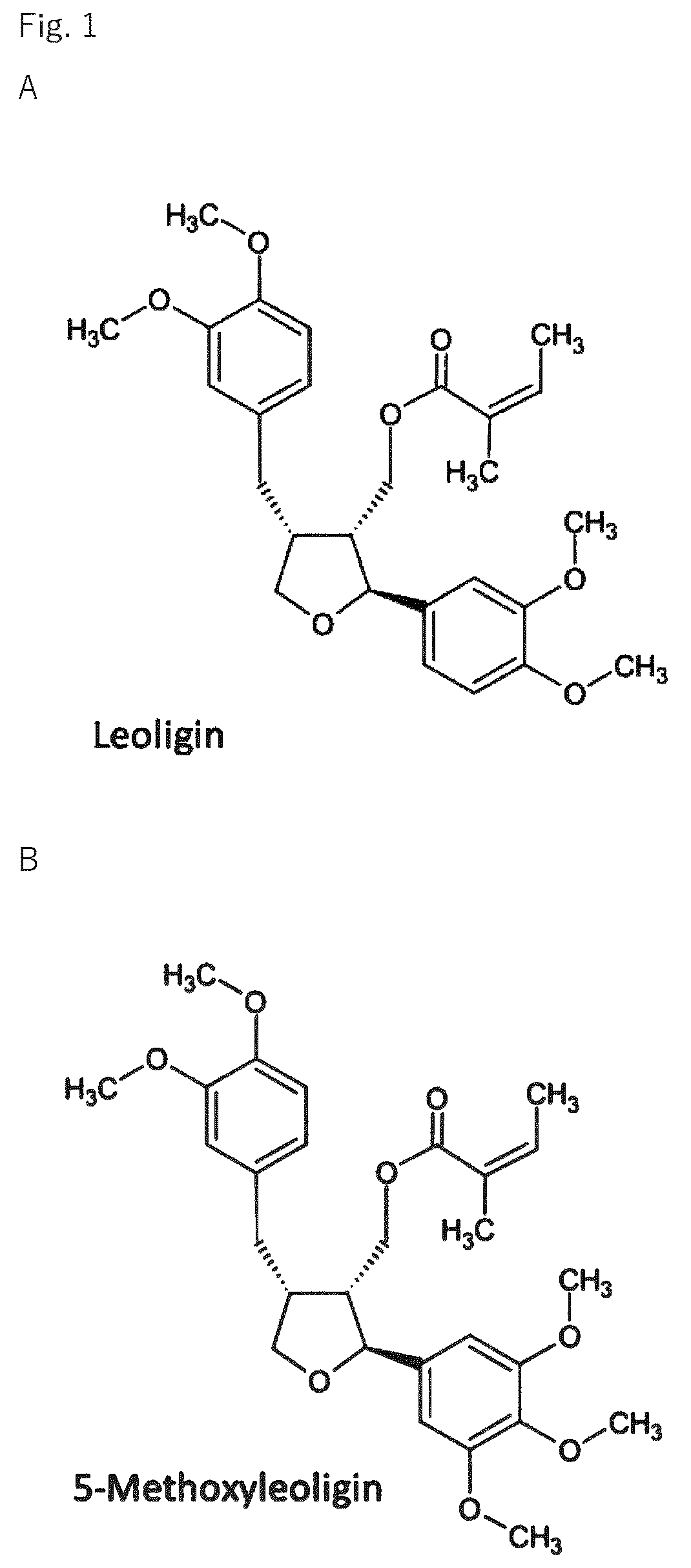 Patent US12564570 — Use of leoligin in the prevention of tissue damage — Figure 1