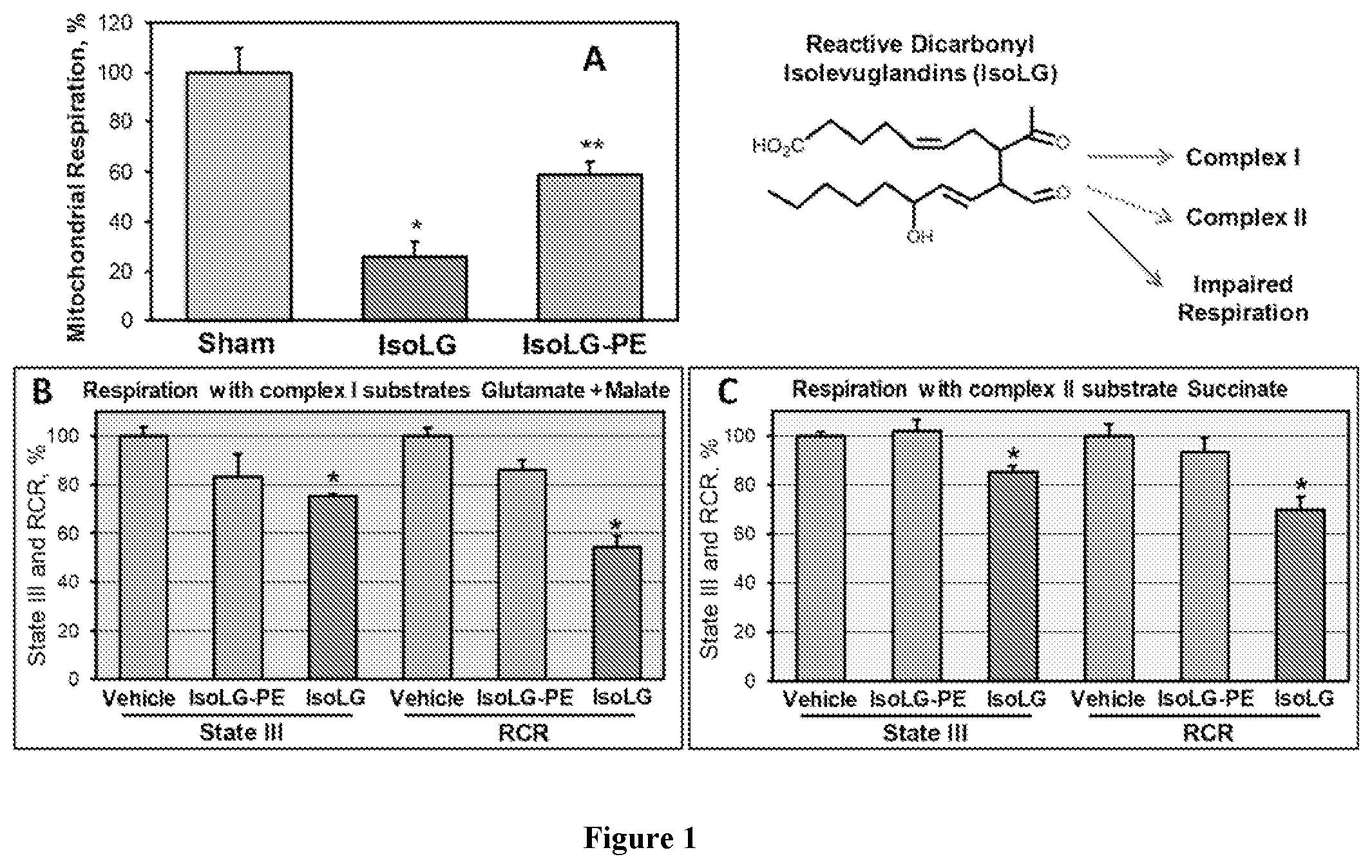 Patent US12564580 — Mitochondria-targeted isoketal/isolevuglandin scavengers and uses thereof — Figure 1