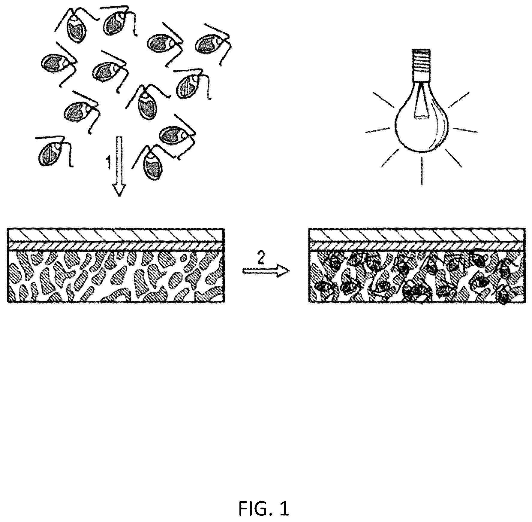 Patent US12564604 — Photosynthetic cellular substances and methods of use thereof — Figure 1