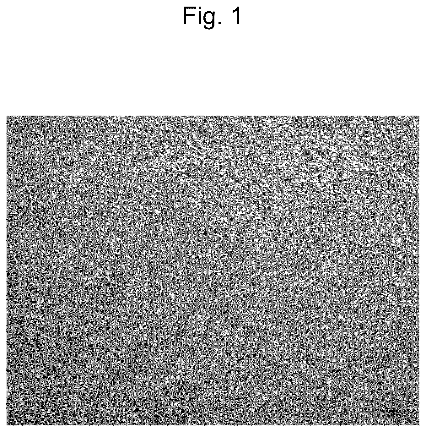 Patent US12564607 — Cell population comprising mesenchymal cells, pharmaceutical composition comprising the same, and method for producing the same — Figure 1