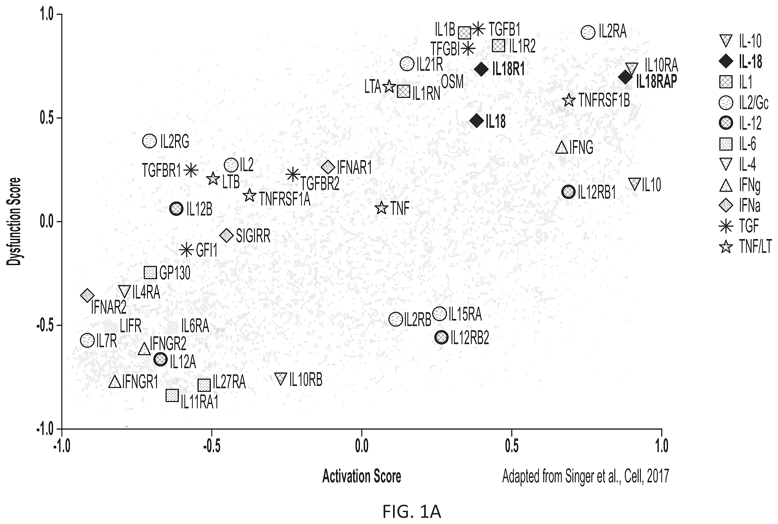 Patent US12564621 Figure 1 – Interleukin-18 variants and methods of use