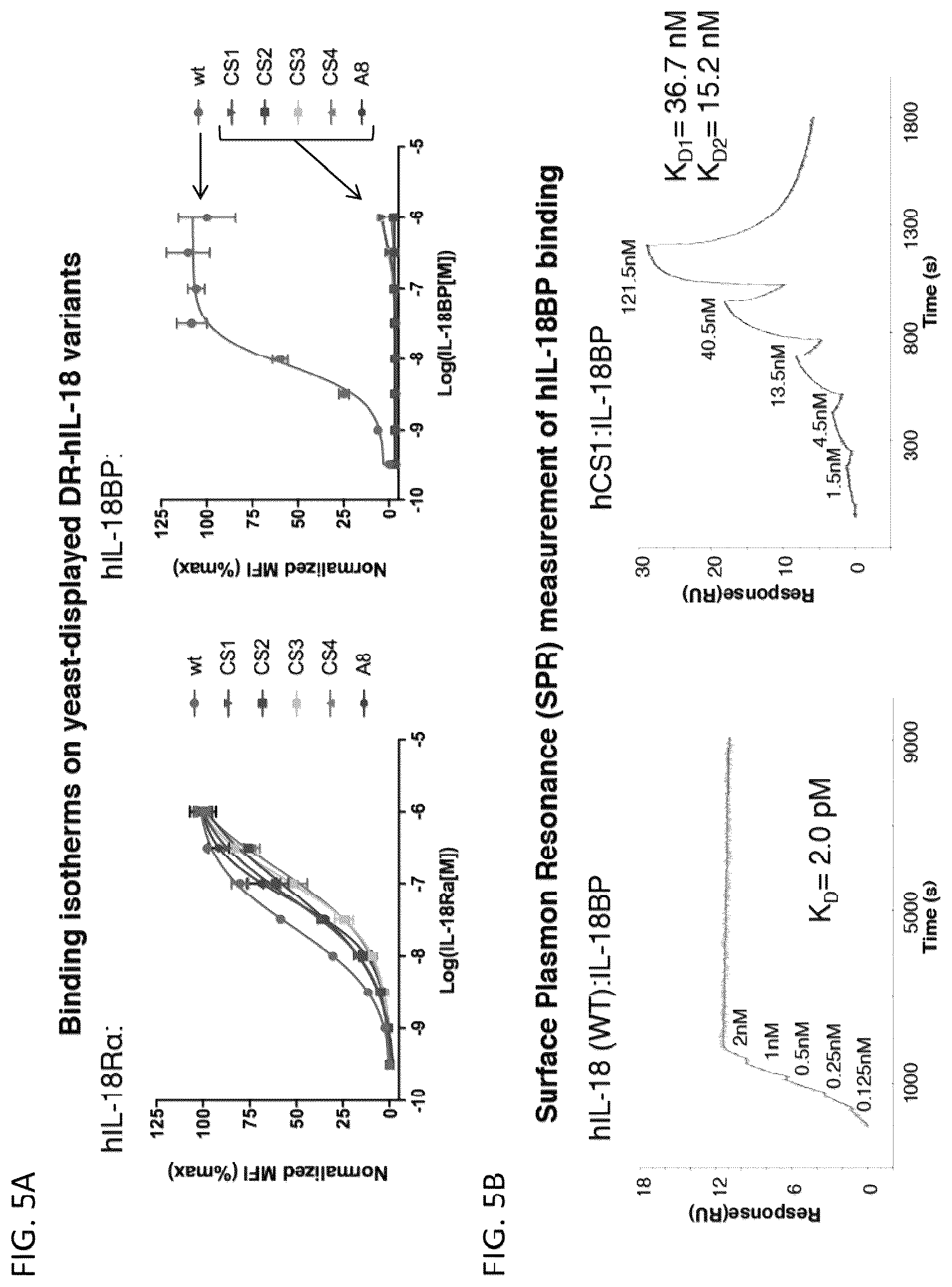 Patent US12564621 Figure 7 – Interleukin-18 variants and methods of use