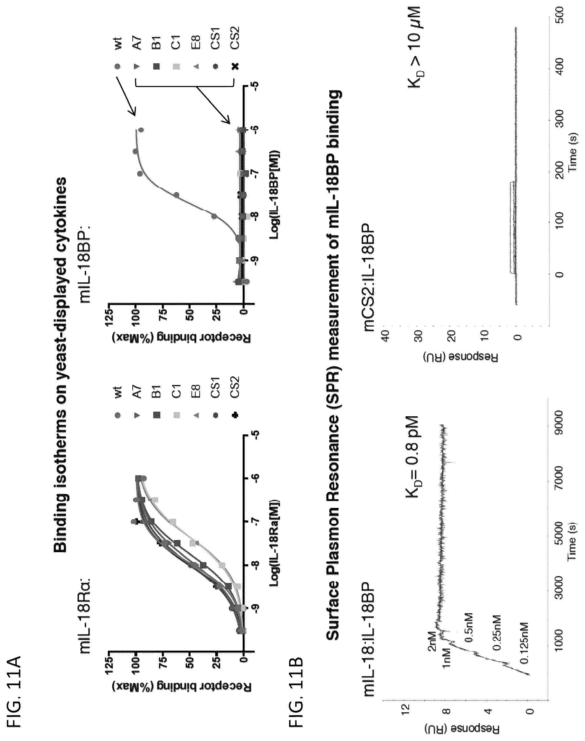 Patent US12564621 Figure 14 – Interleukin-18 variants and methods of use