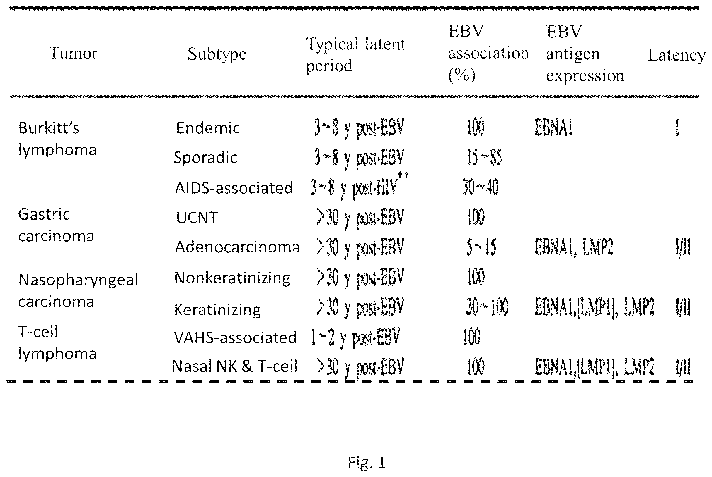 Patent US12564628 — Epstein-BARR virus nucleic acid constructs and vaccines made therefrom, and methods of using same — Figure 1