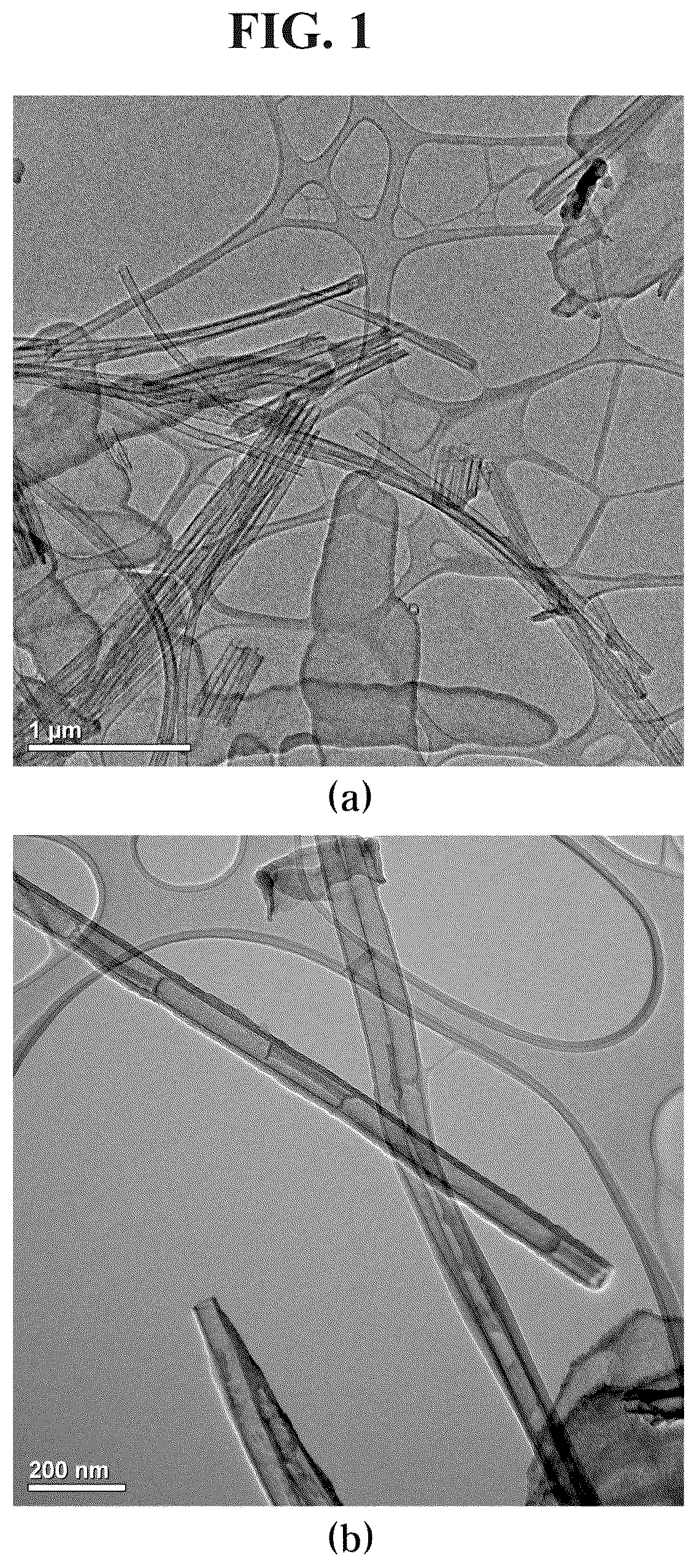 Patent US12564634 — Highly dispersible zinc phthalocyanine-silica nanotubes and preparation method therefor — Figure 1