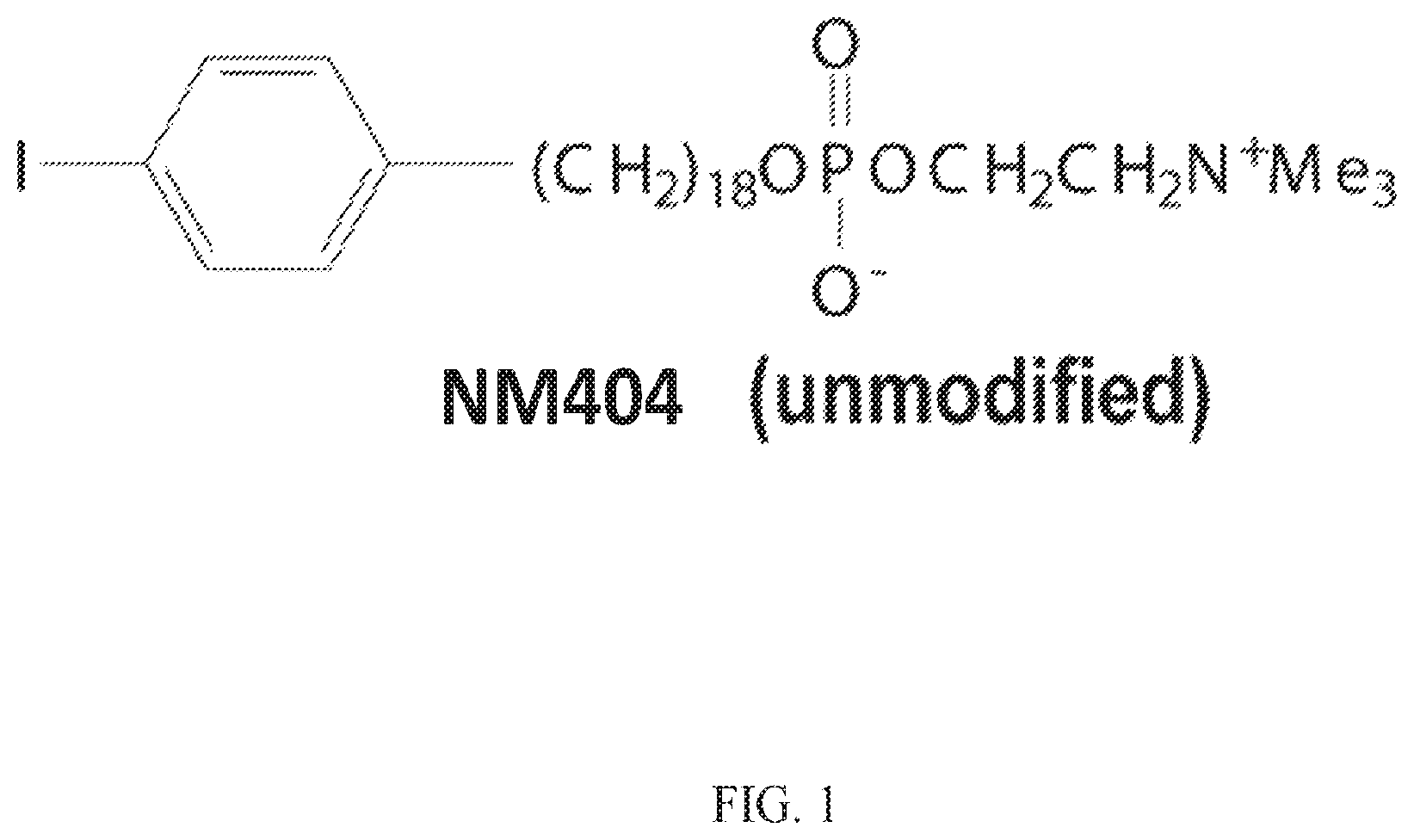 Patent US12564635 Figure 1 – Long-lived gadolinium based tumor targeted imaging and therapy agents