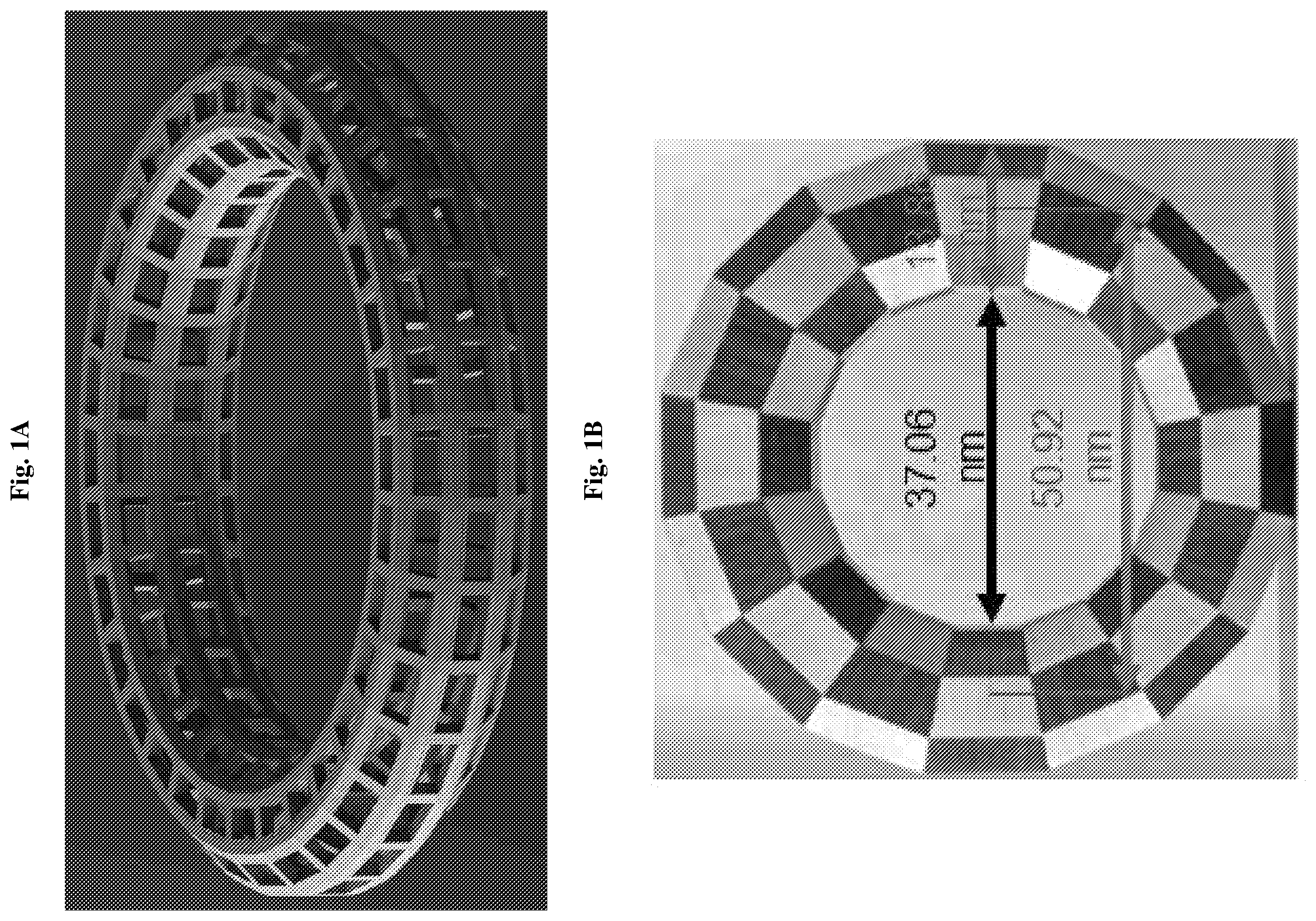 Patent US12564637 — Nucleic acid mazzocchio and methods of making and use thereof — Figure 1