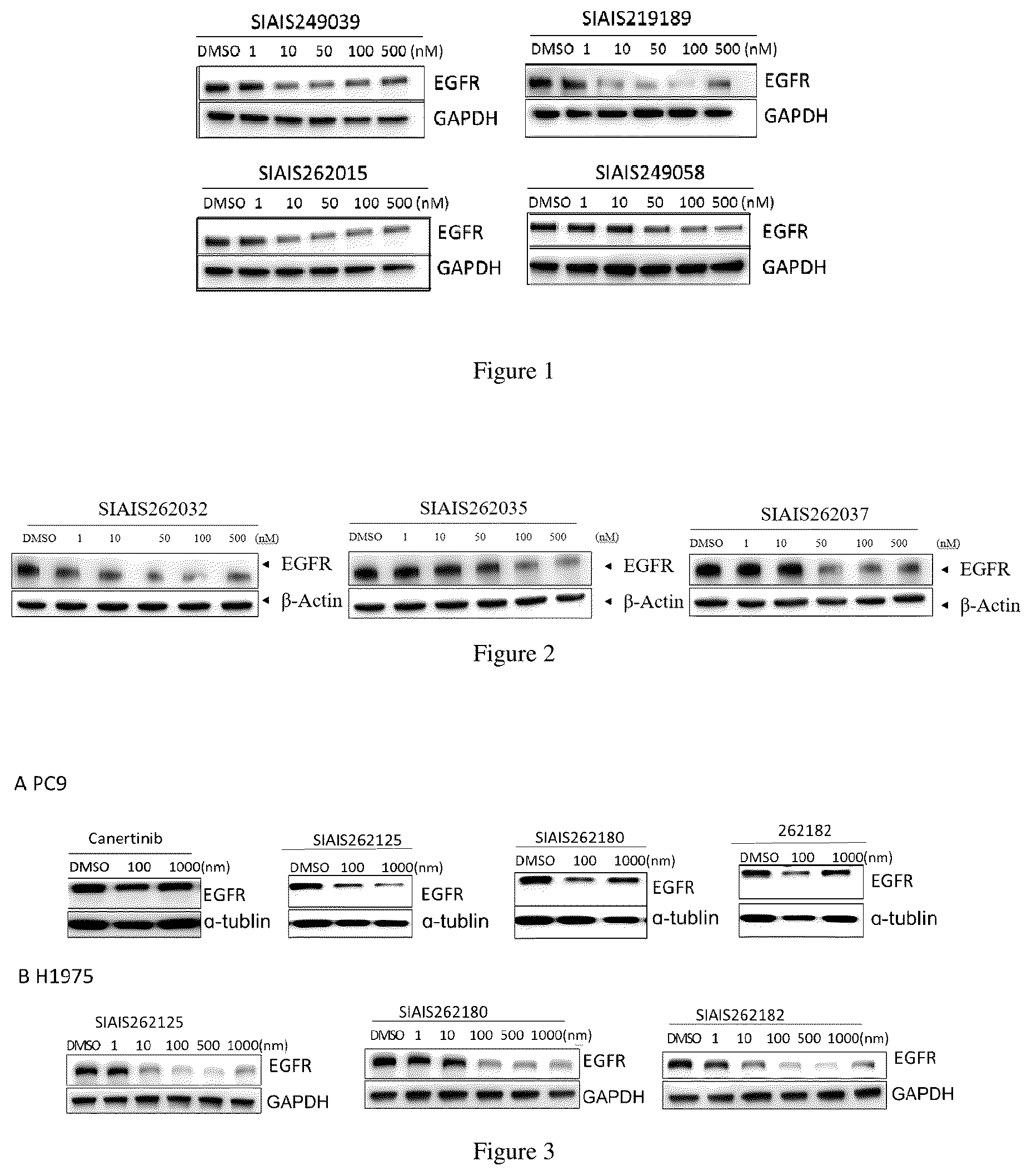Patent US12564638 — EGFR protein degradant and anti-tumor application thereof — Figure 1
