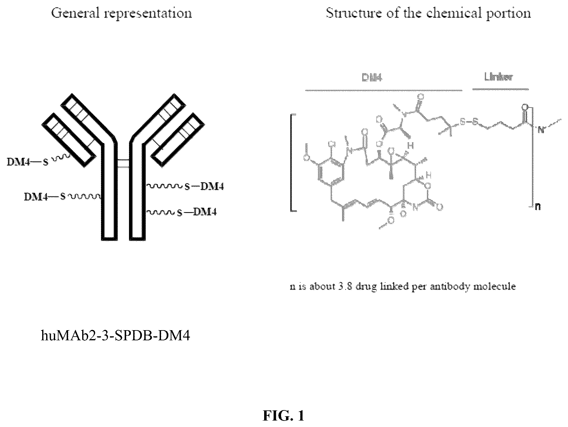 Patent US12564642 — CEACAM5 antibody-drug conjugate formulation — Figure 1