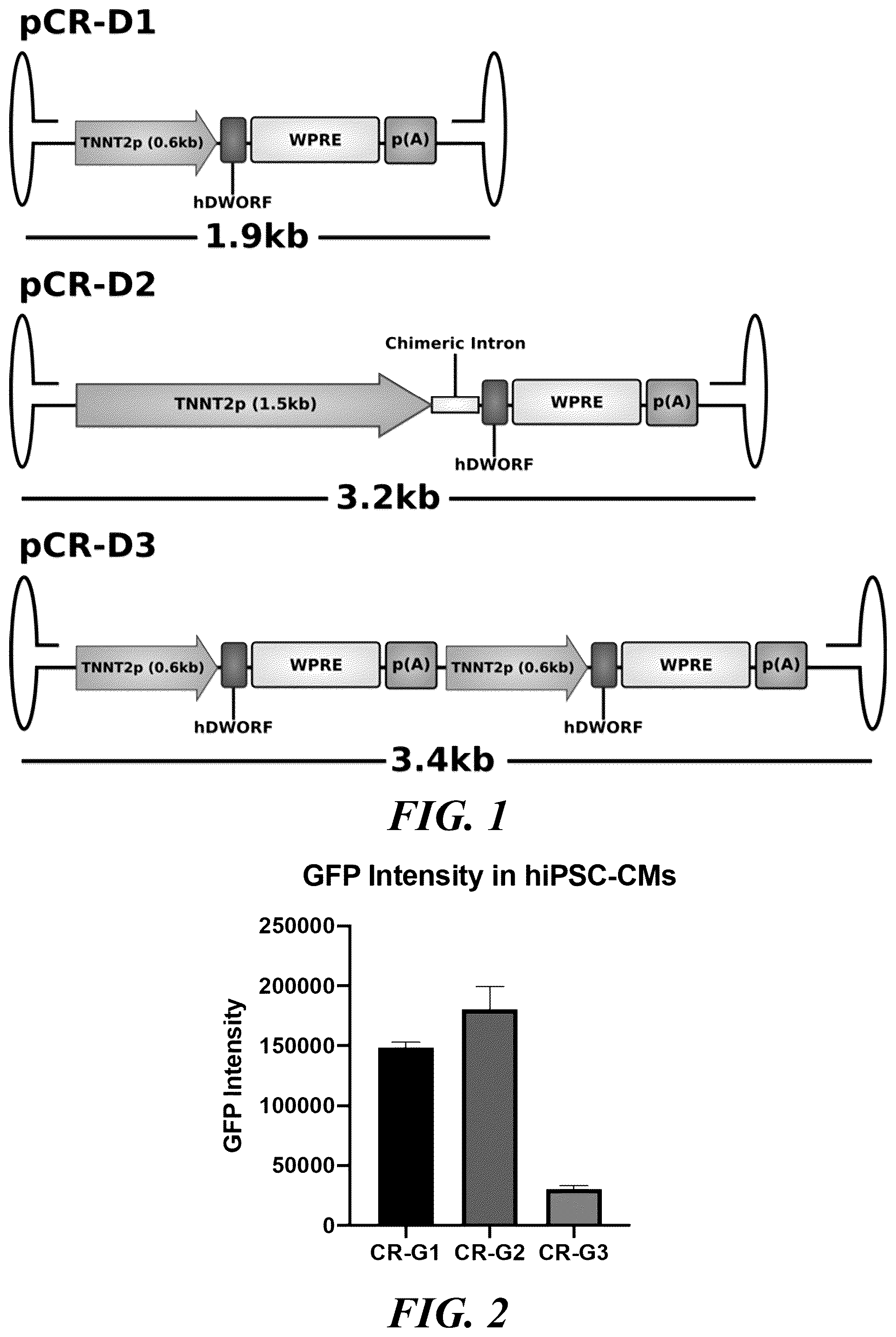 Patent US12564647 — Optimized expression cassettes for gene therapy — Figure 1