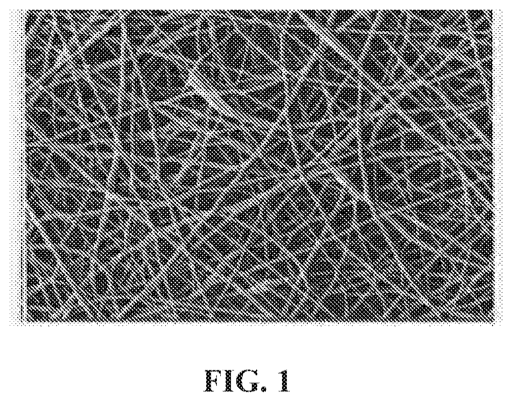 Patent US12564658 — Tissue substitute materials and methods for tissue repair — Figure 1