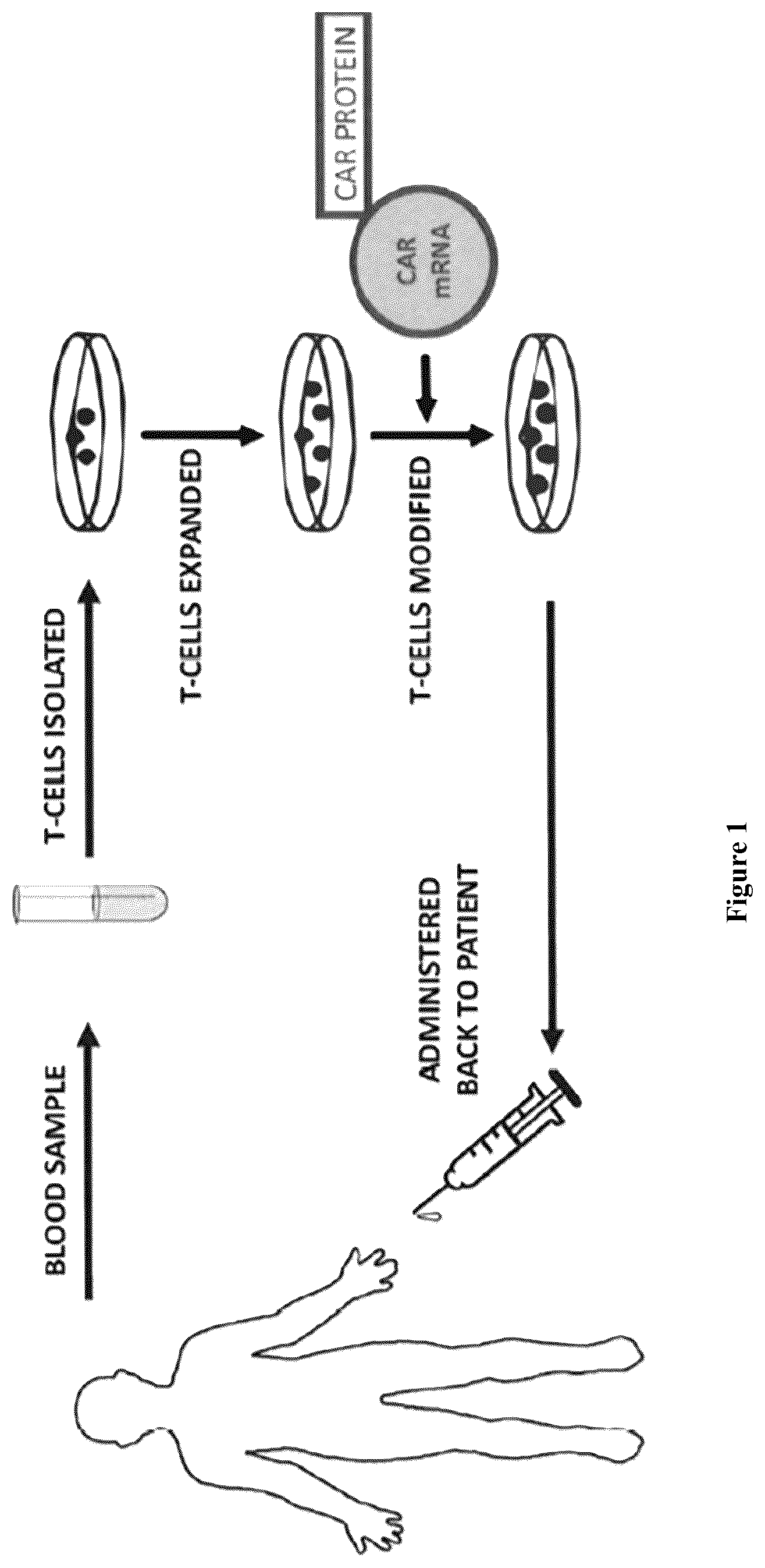 Patent US12564822 — Device for manufacture of T-cells for autologous cell therapy — Figure 1