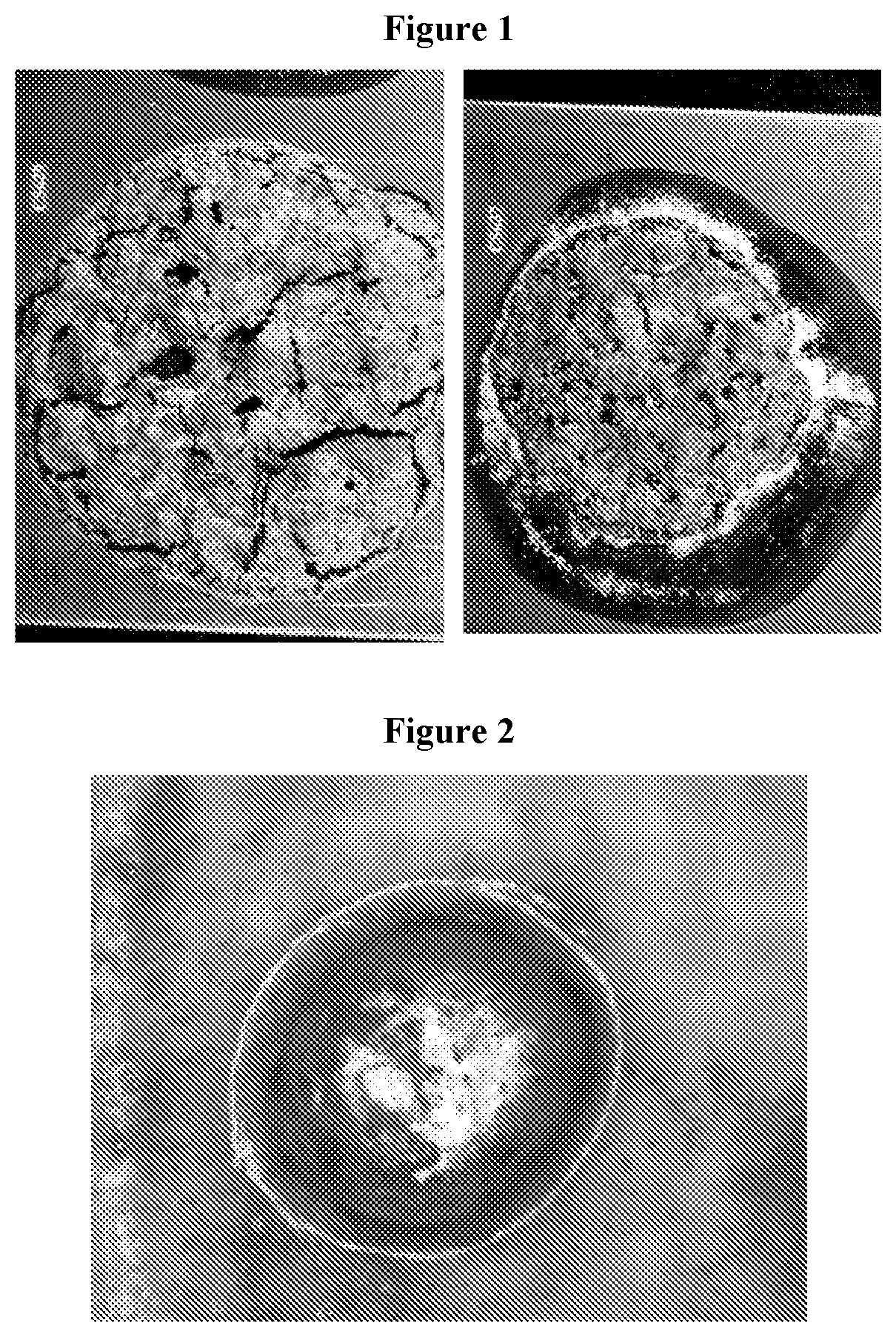 Patent US12564907 — Indium solder paste compositions — Figure 1