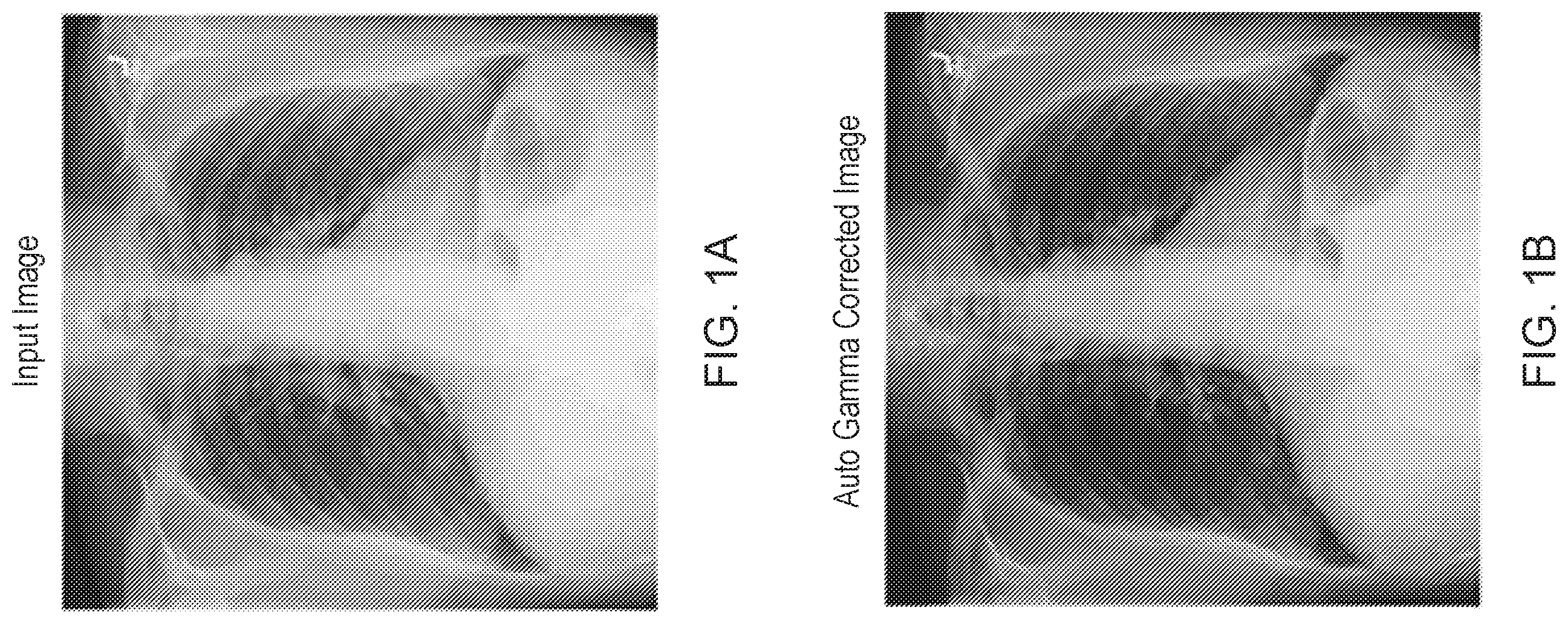 Patent US12567132 — Auto gamma correction — Figure 1