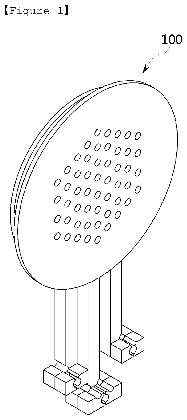 Patent US12568556 Figure 1 – Electrode heating unit and device, and control method for protecting electrical short therefor