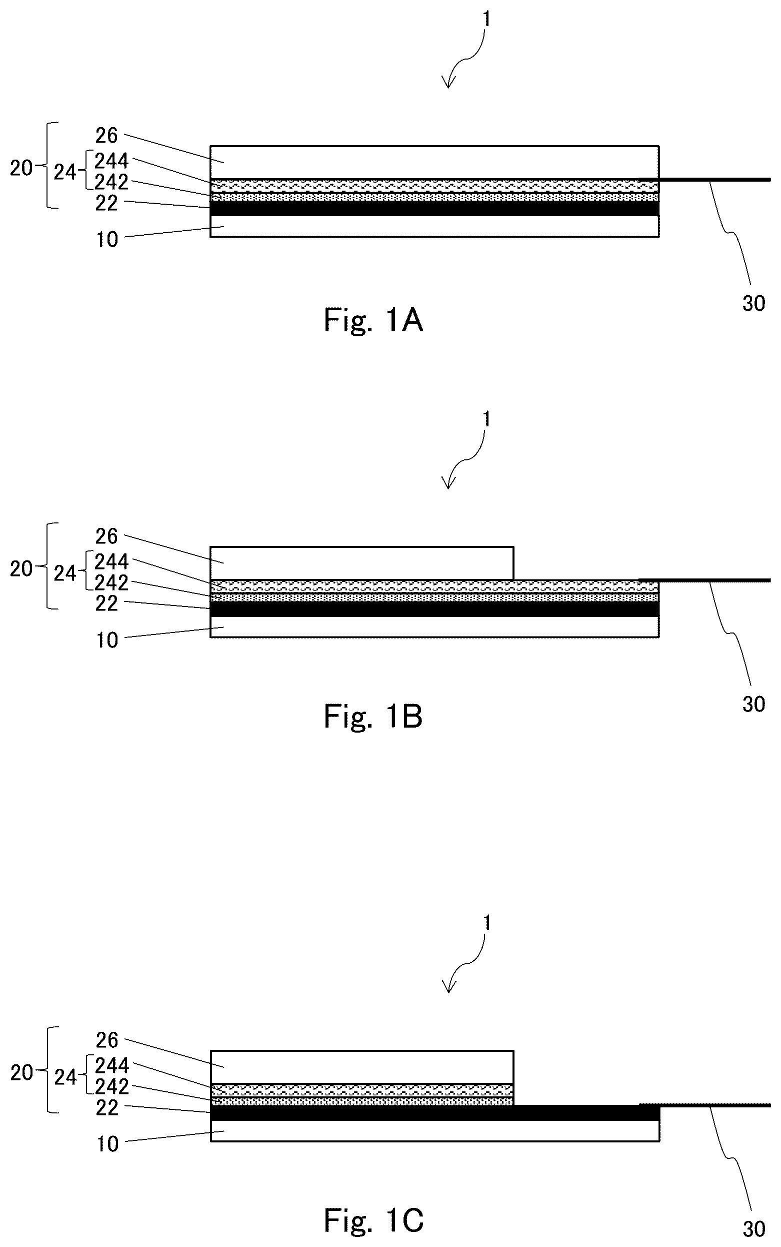 Patent US12569178 — Electrode — Figure 1