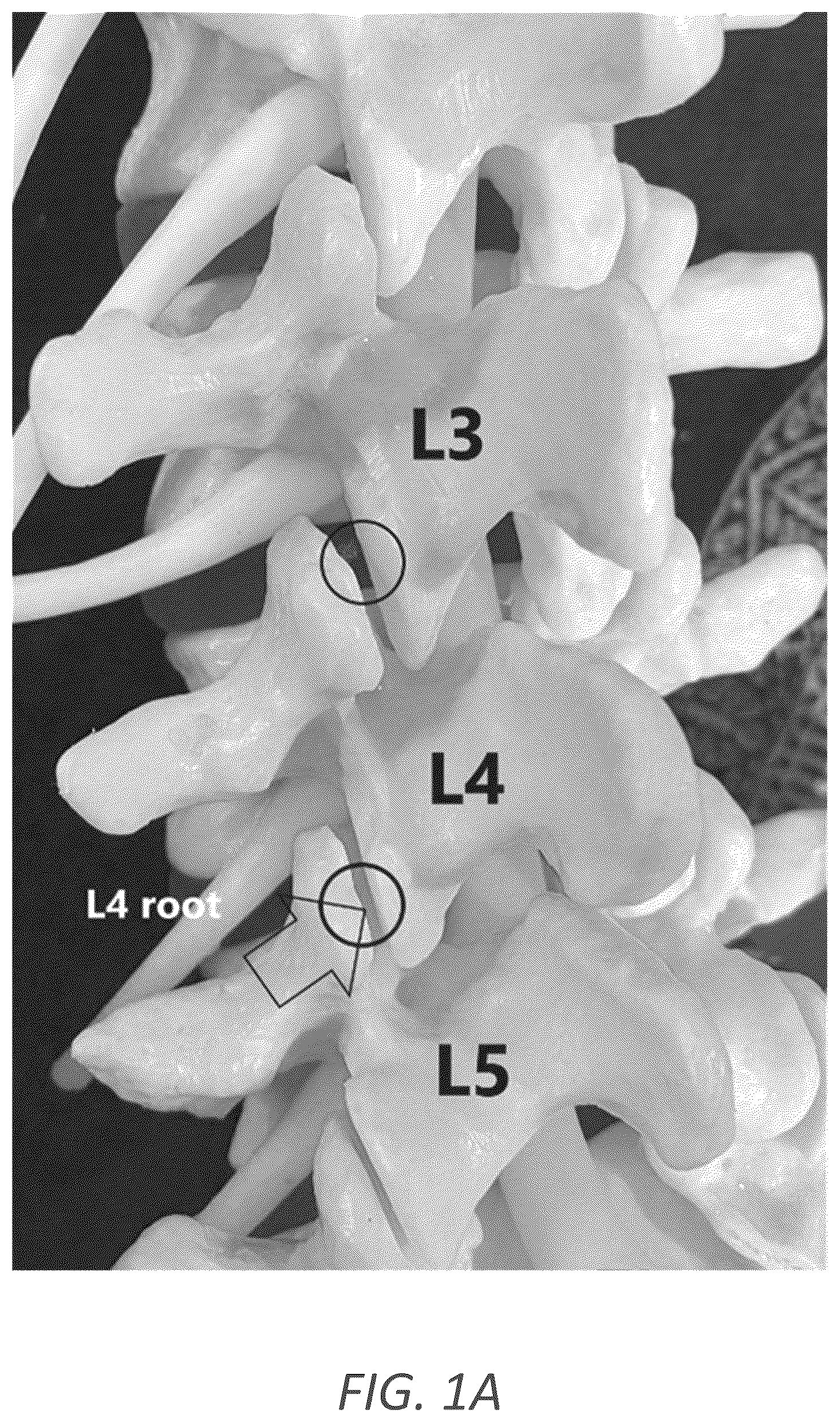 Patent US12569352 — Minimally invasive robotic assisted trans-facet lumbar interbody fusion — Figure 1