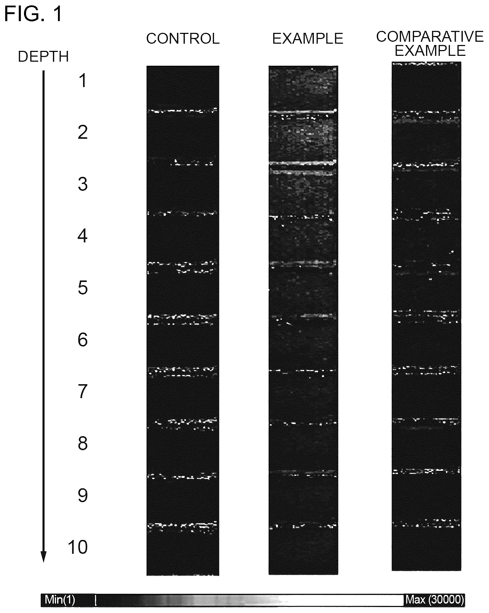 Patent US12569429 — Skin penetration enhancer for royal jelly — Figure 1