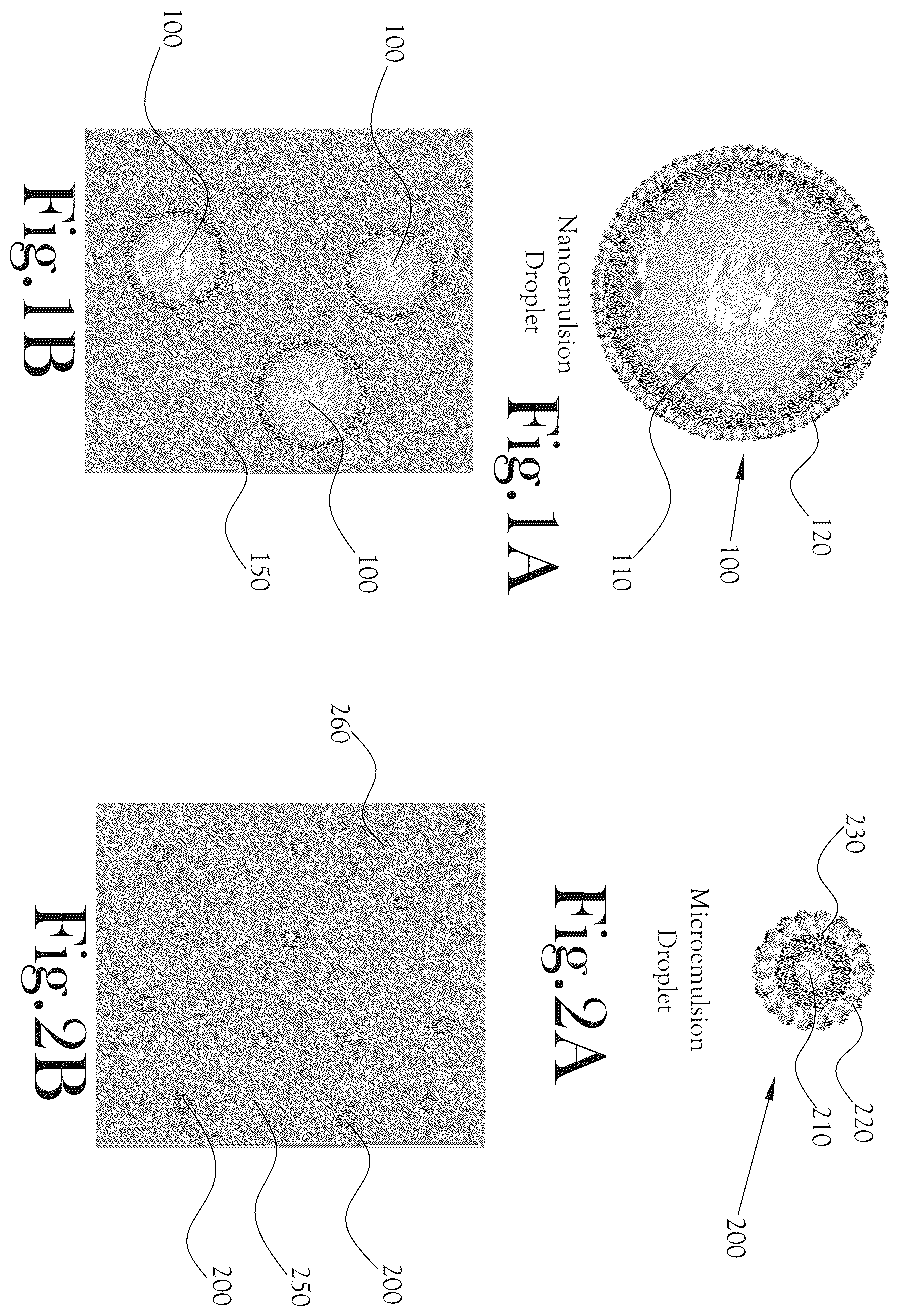 Patent US12569433 — Microemulsion delivery systems for water-based beverages — Figure 1