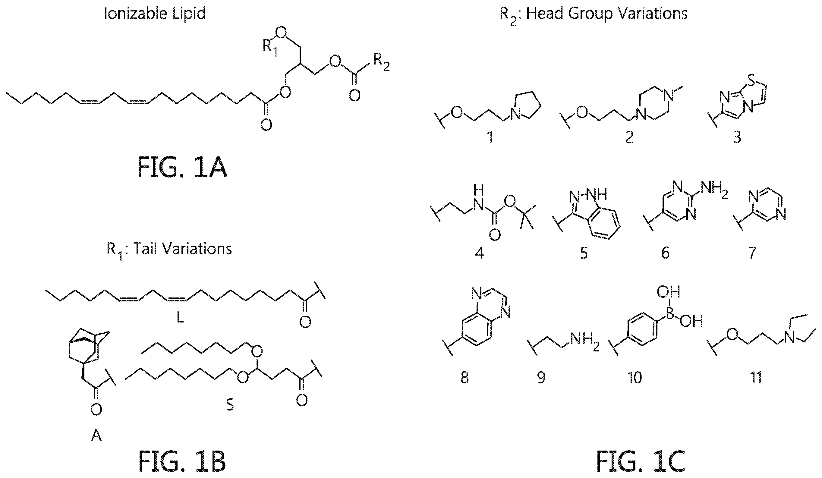 Patent US12569438 Figure 1 – Nanomaterials containing constrained lipids and uses thereof