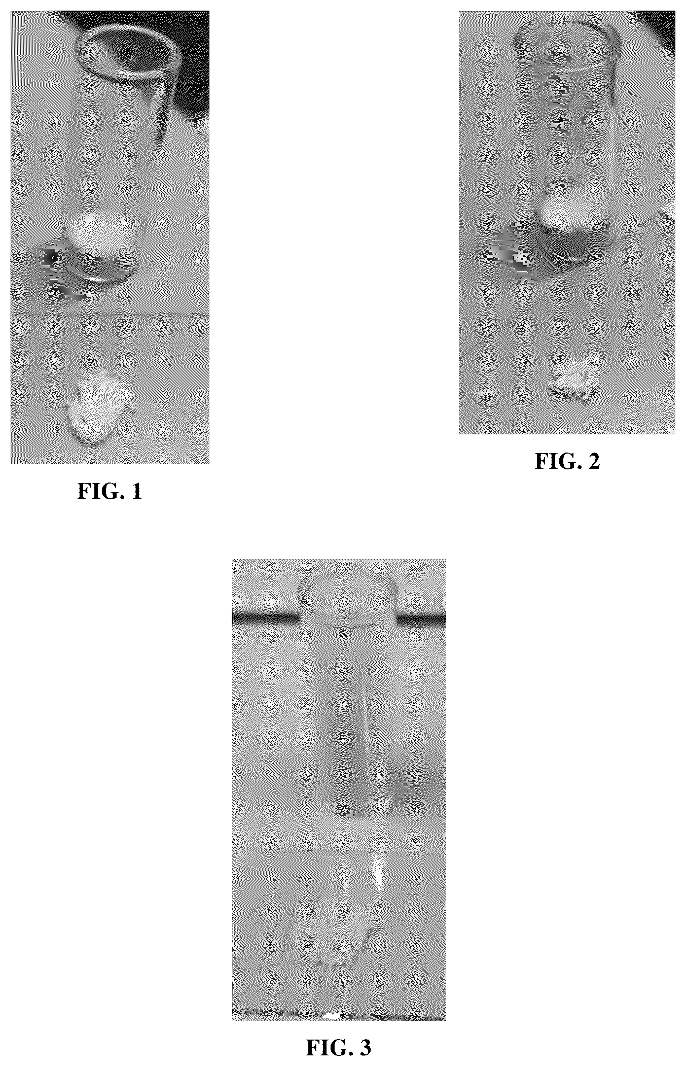 Patent US12569440 Figure 1 – Solid formulation of a 1,2,4-oxadiazole derivative