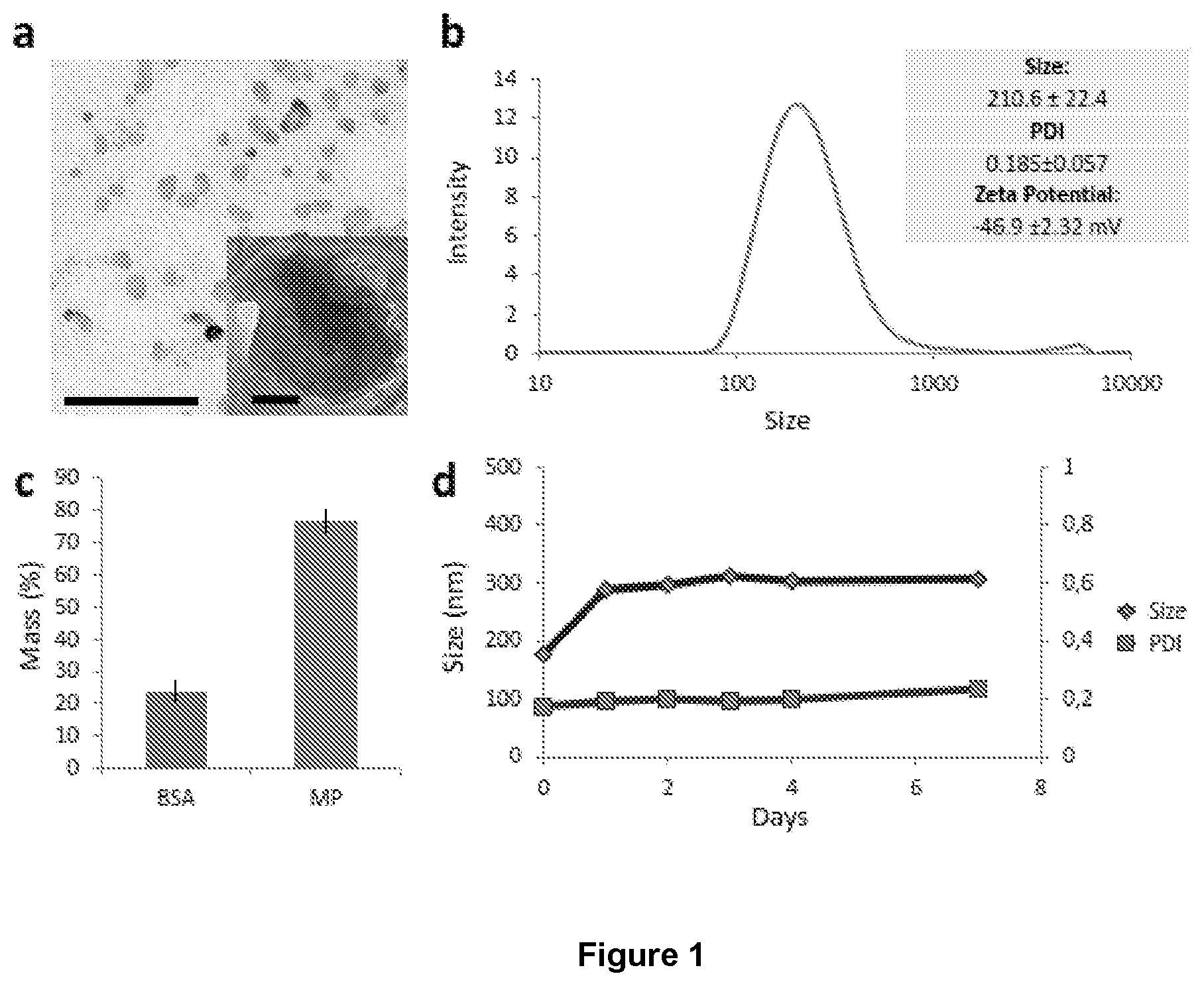 Patent US12569450 — Nanoparticles for medical and diagnostic applications — Figure 1