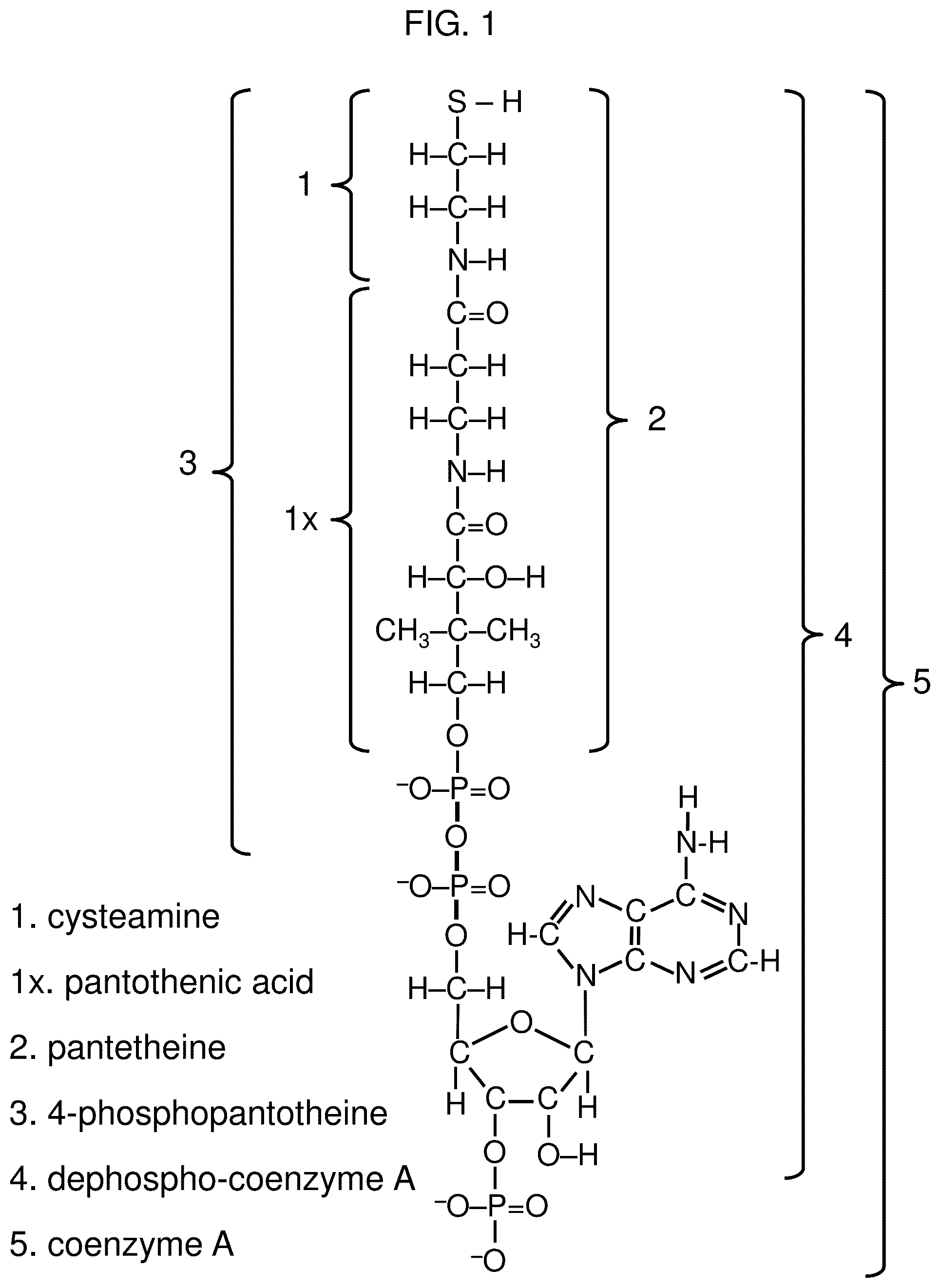 Patent US12569456 Figure 1 – Methods for the treatment of cysteamine sensitive disorders