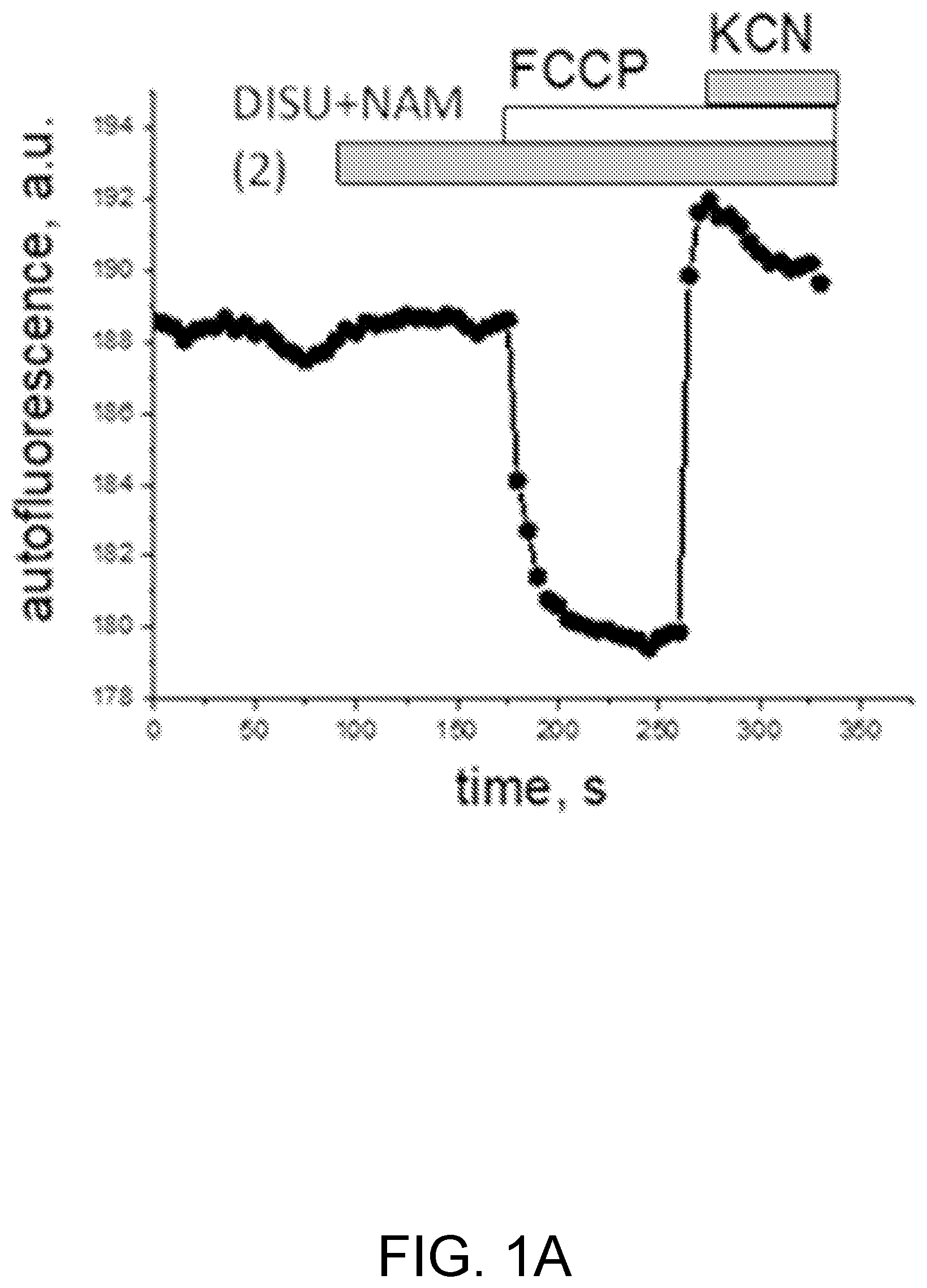 Patent US12569477 — Compositions for synergistically enhancing mitochondrial function — Figure 1