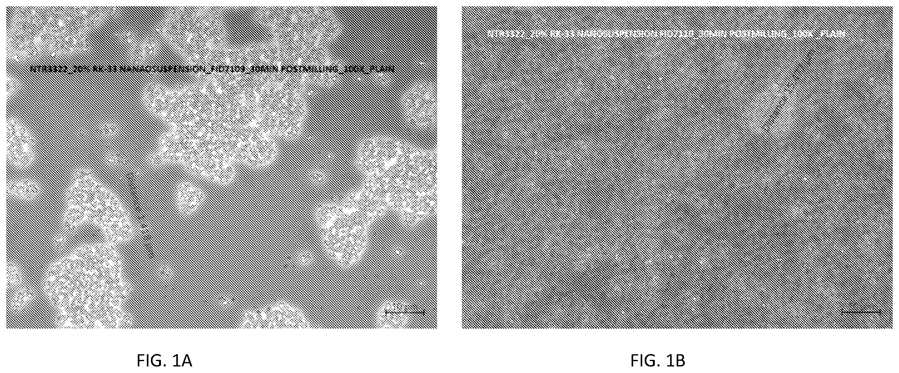 Patent US12569499 — Intravenous formulations of RK-33 — Figure 1