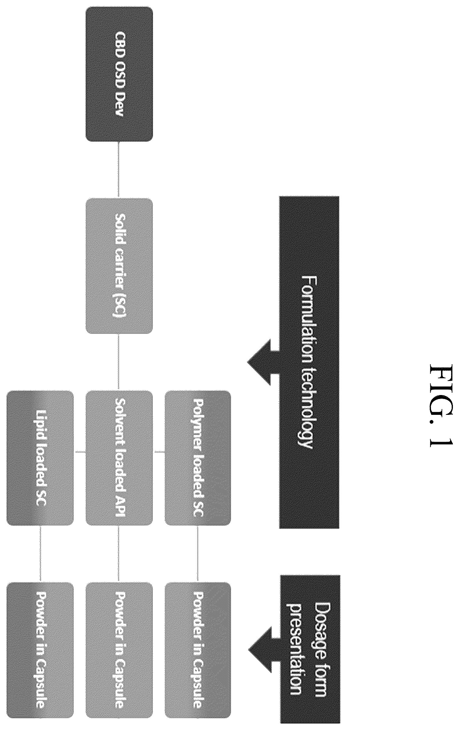 Patent US12569505 — Oral solid dosage forms comprising cannabinoids — Figure 1