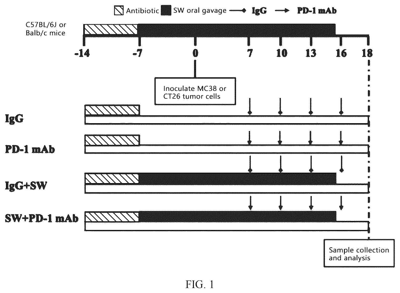Patent US12569522 Figure 1 – Pharmaceutical composition comprising Sutterella wadsworthensis and immune checkpoint inhibitors for treatment of colon cancer