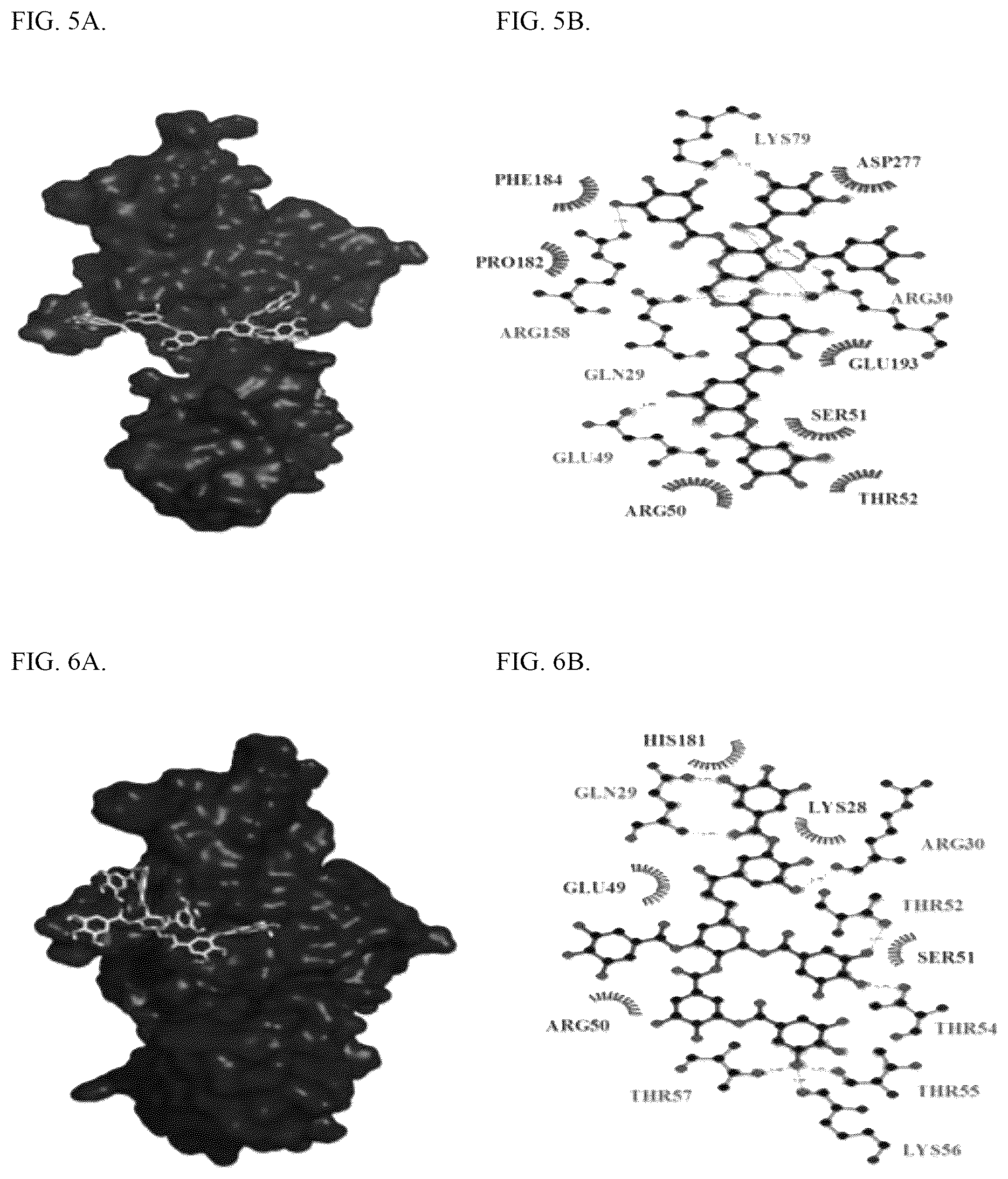Patent US12569530 Figure 3 – Tannin-based antiproliferative pharmaceutical