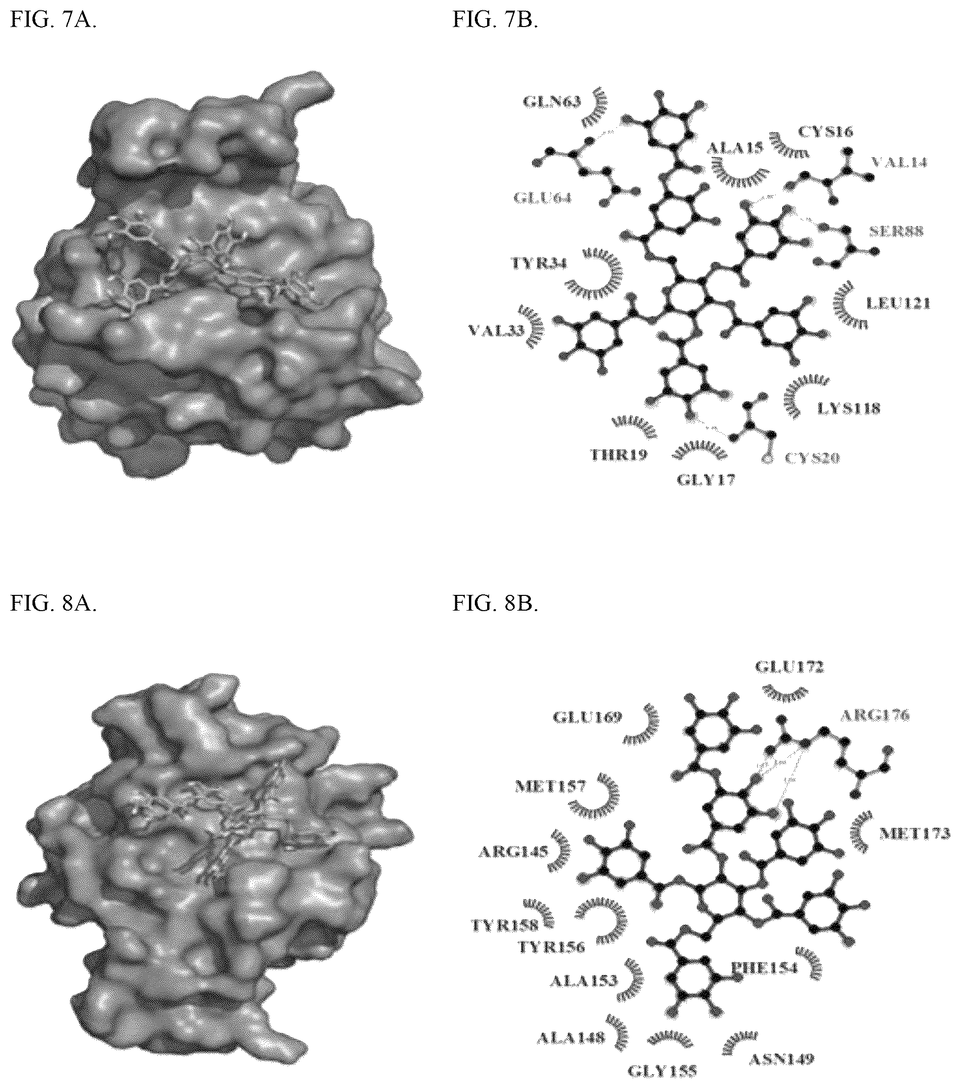 Patent US12569530 Figure 4 – Tannin-based antiproliferative pharmaceutical