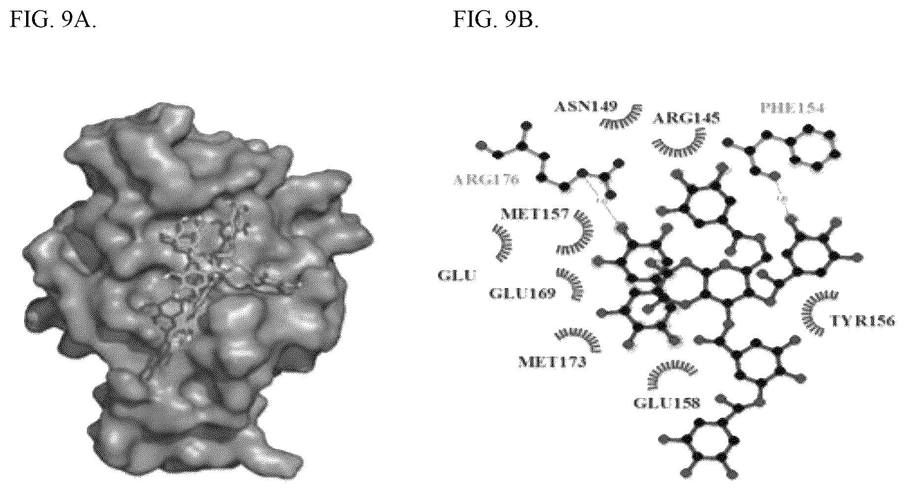Patent US12569530 Figure 5 – Tannin-based antiproliferative pharmaceutical