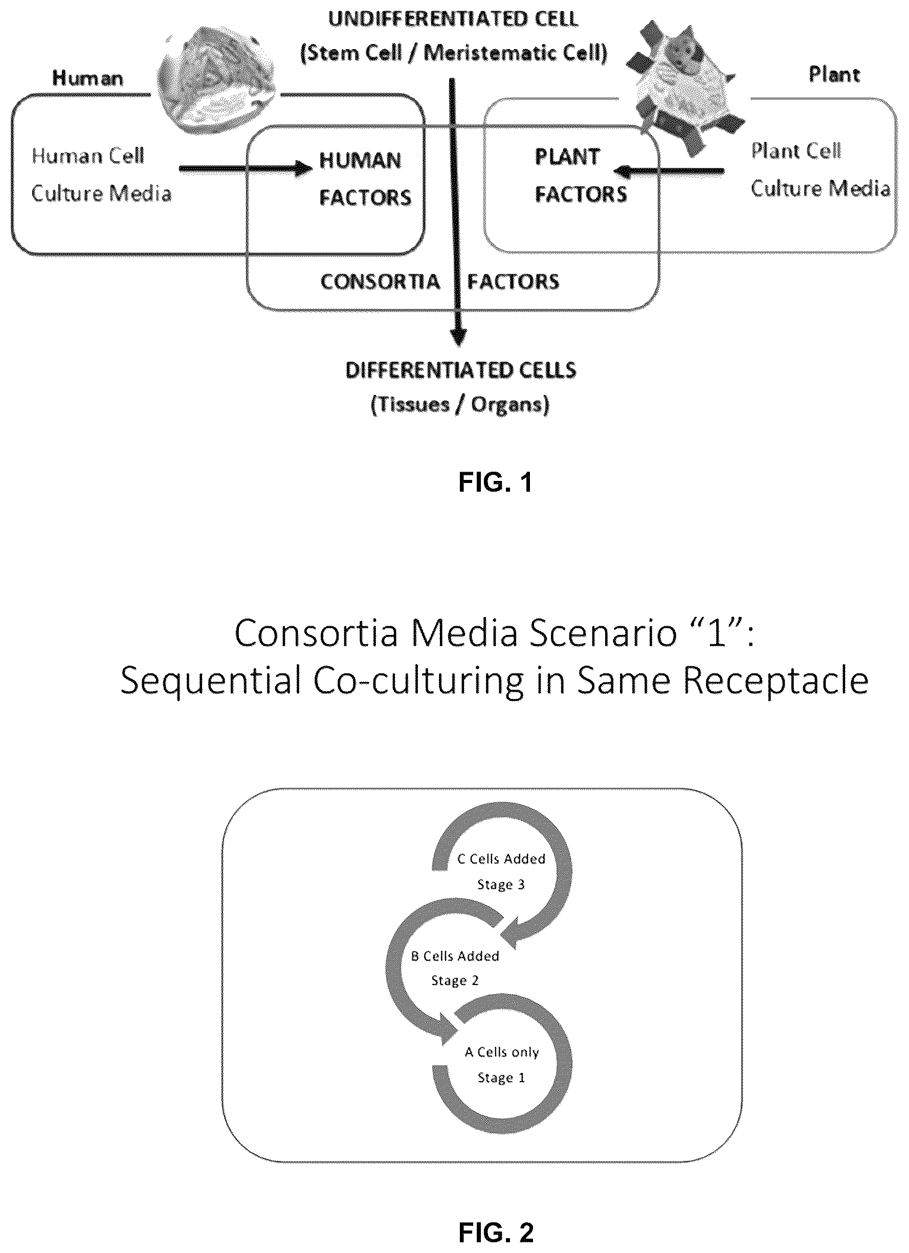 Patent US12569537 — System and method for the production, formulation and use of conditioned media, cultured cells and the factors included therein — Figure 1