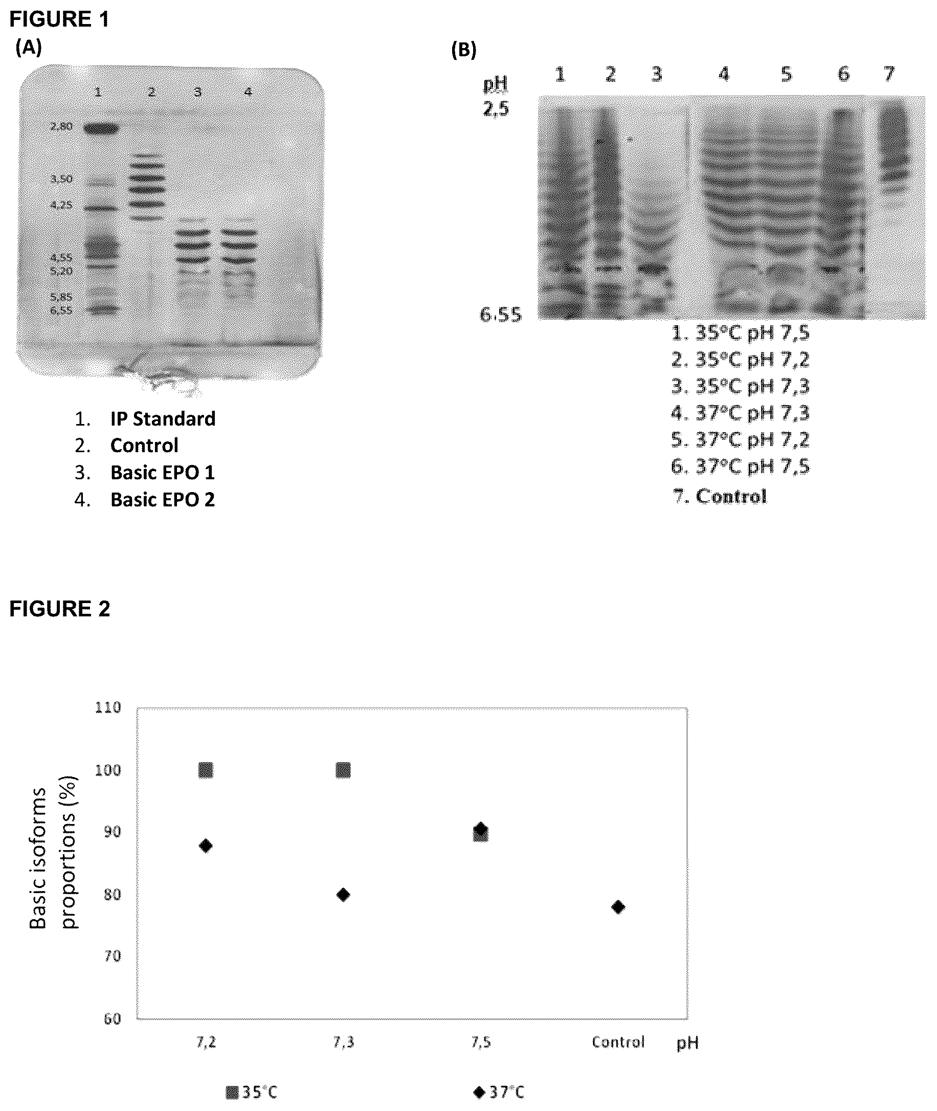Patent US12569540 — Human recombinant hyposialylated erythropoietin, methods of purification and therapeutic uses thereof — Figure 1