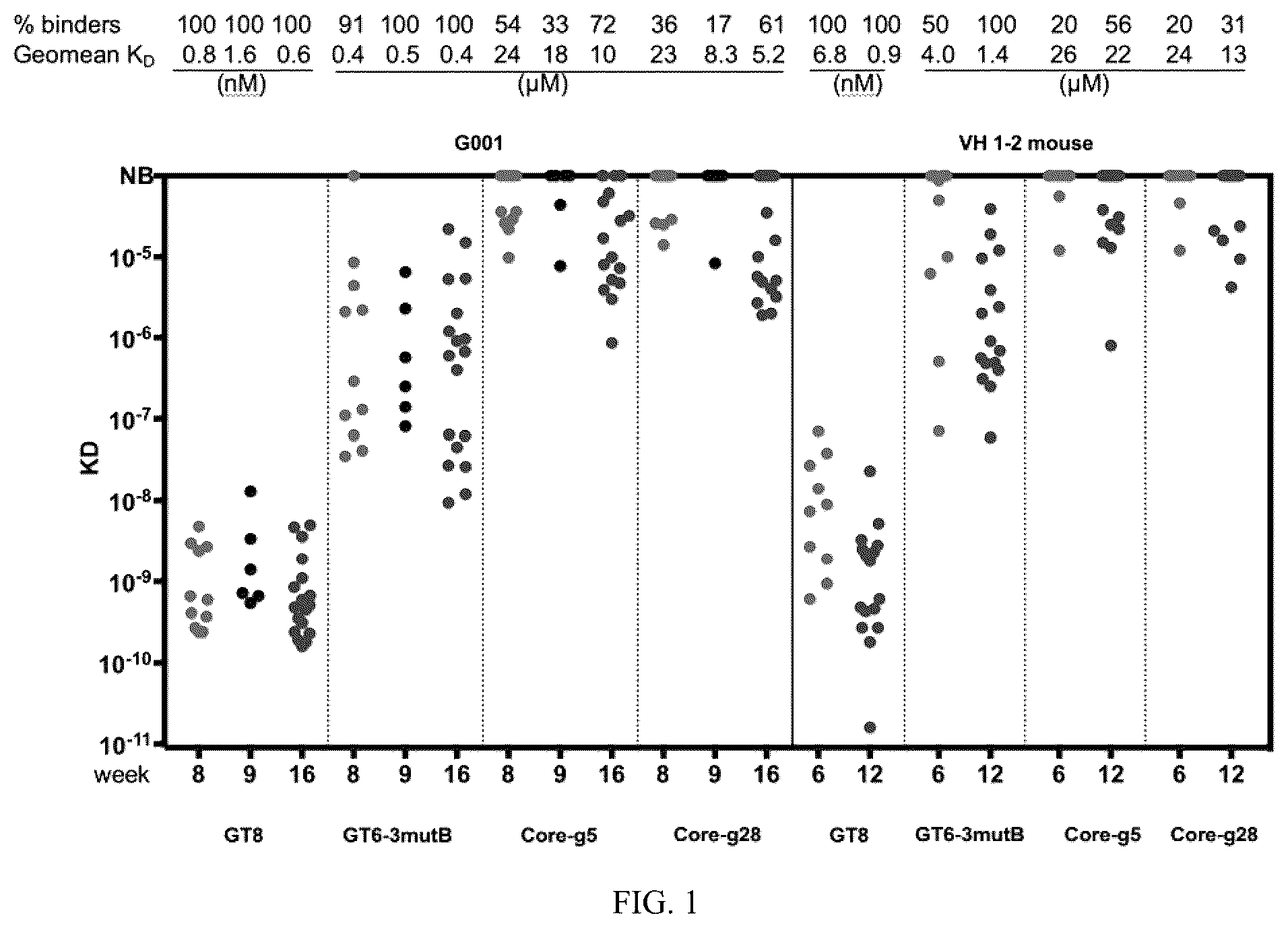 Patent US12569551 — Modified immunogenic proteins — Figure 1