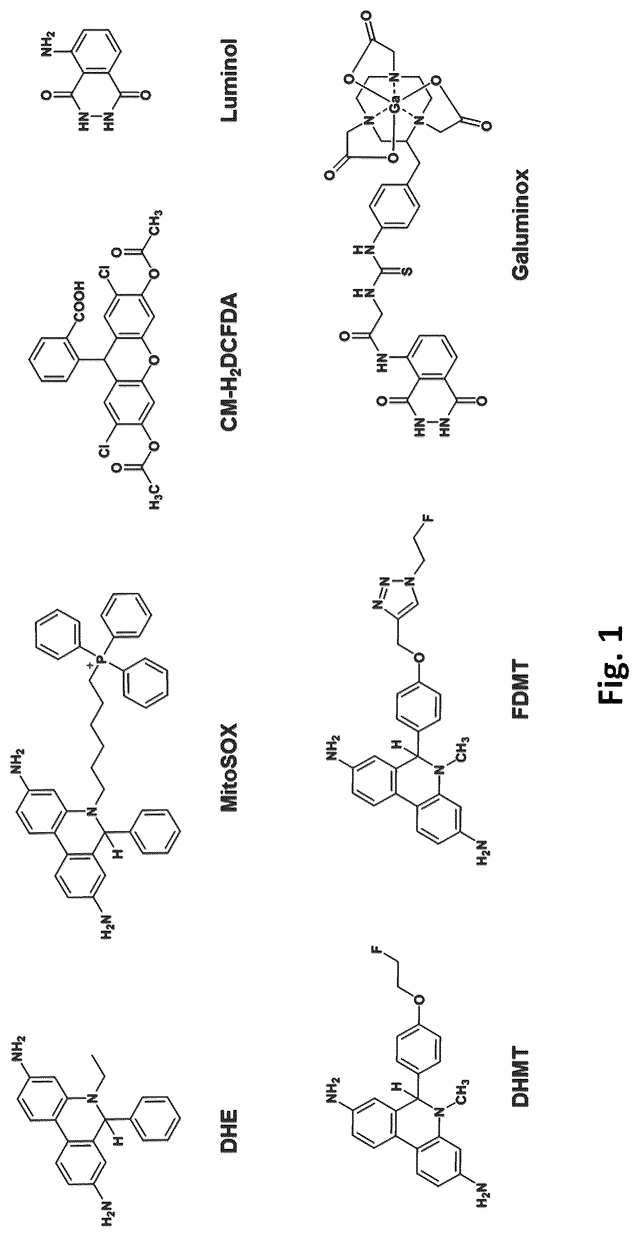 Patent US12569576 — Compositions and methods for measuring oxidative stress — Figure 1