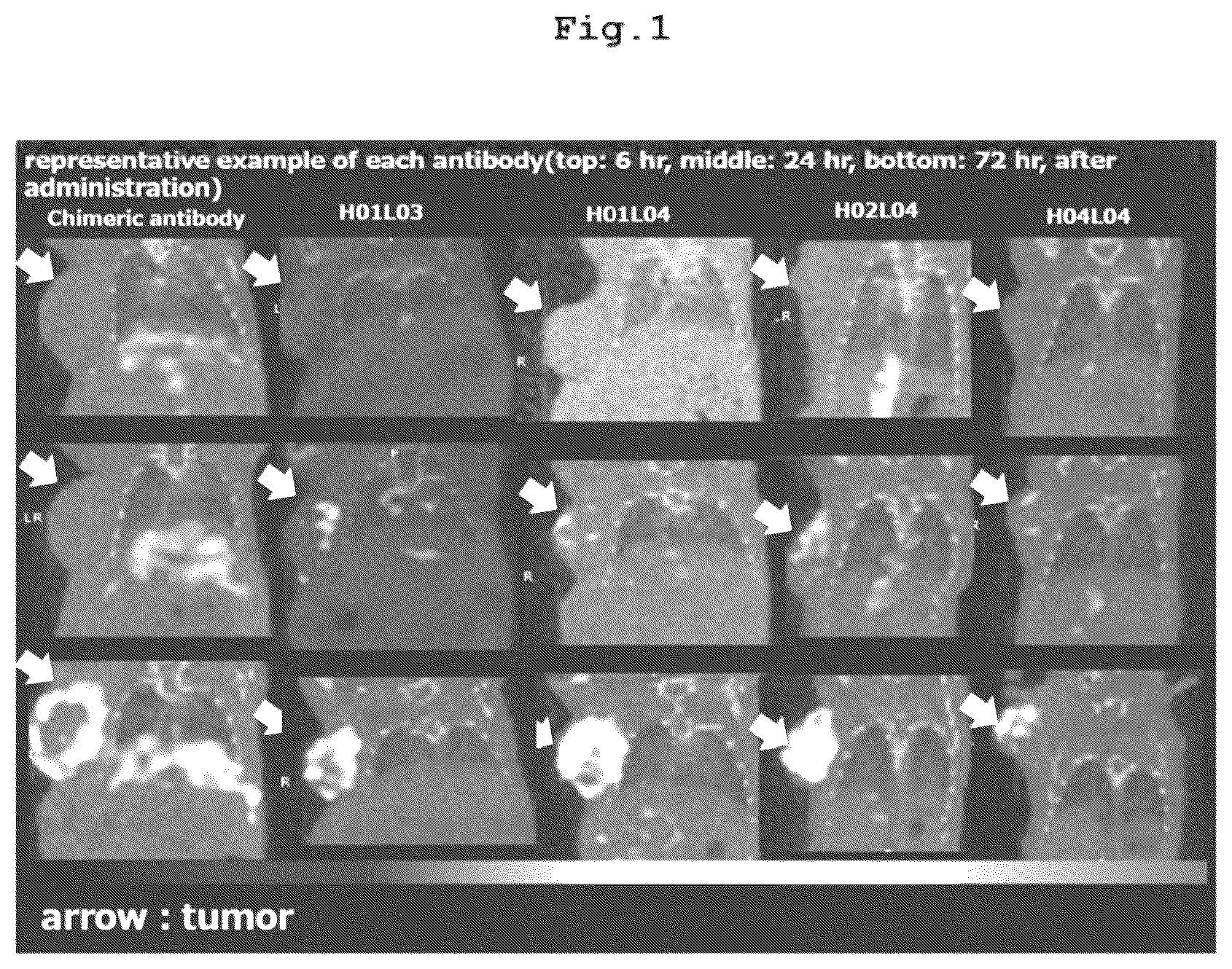 Patent US12569578 — RI-labeled humanized antibody — Figure 1