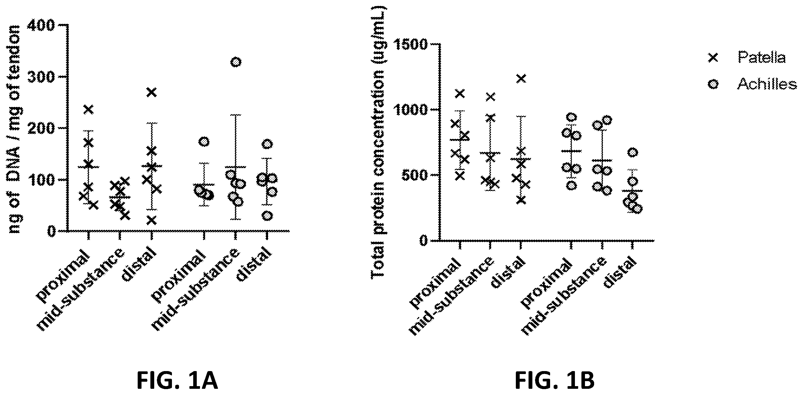 Patent US12569594 — Decellularized tendon matrix methods and uses thereof — Figure 1
