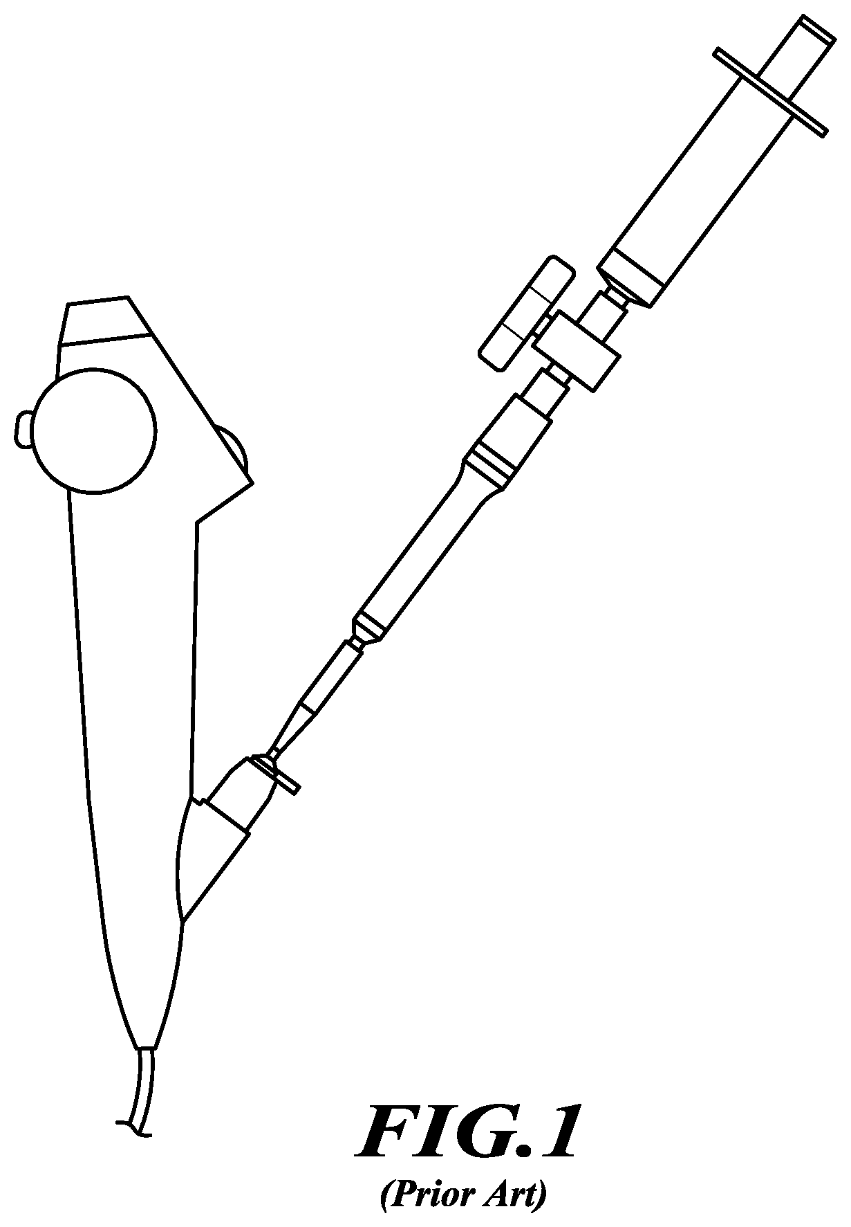 Patent US12569646 — Systems and methods for performing tissue biopsy — Figure 1