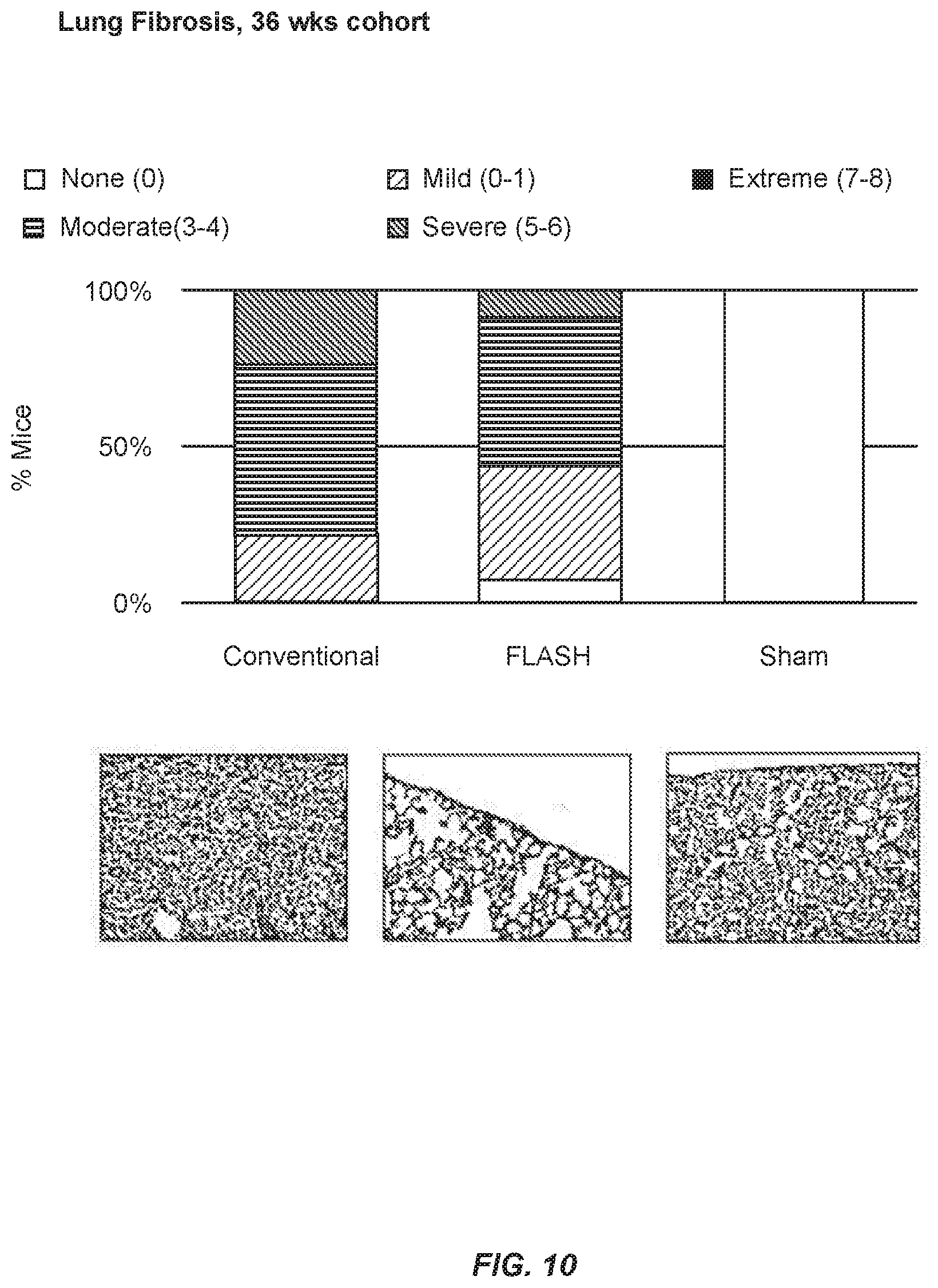 Patent US12569700 Figure 10 – Methods of use of ultra-high dose rate radiation and therapeutic agent