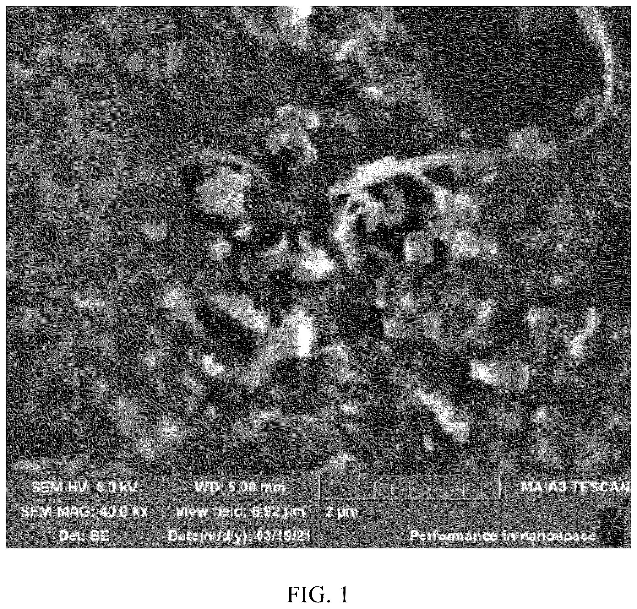 Patent US12569784 — Method for removing silicon powder in coolant for monocrystalline silicon slicing with diamond wire — Figure 1