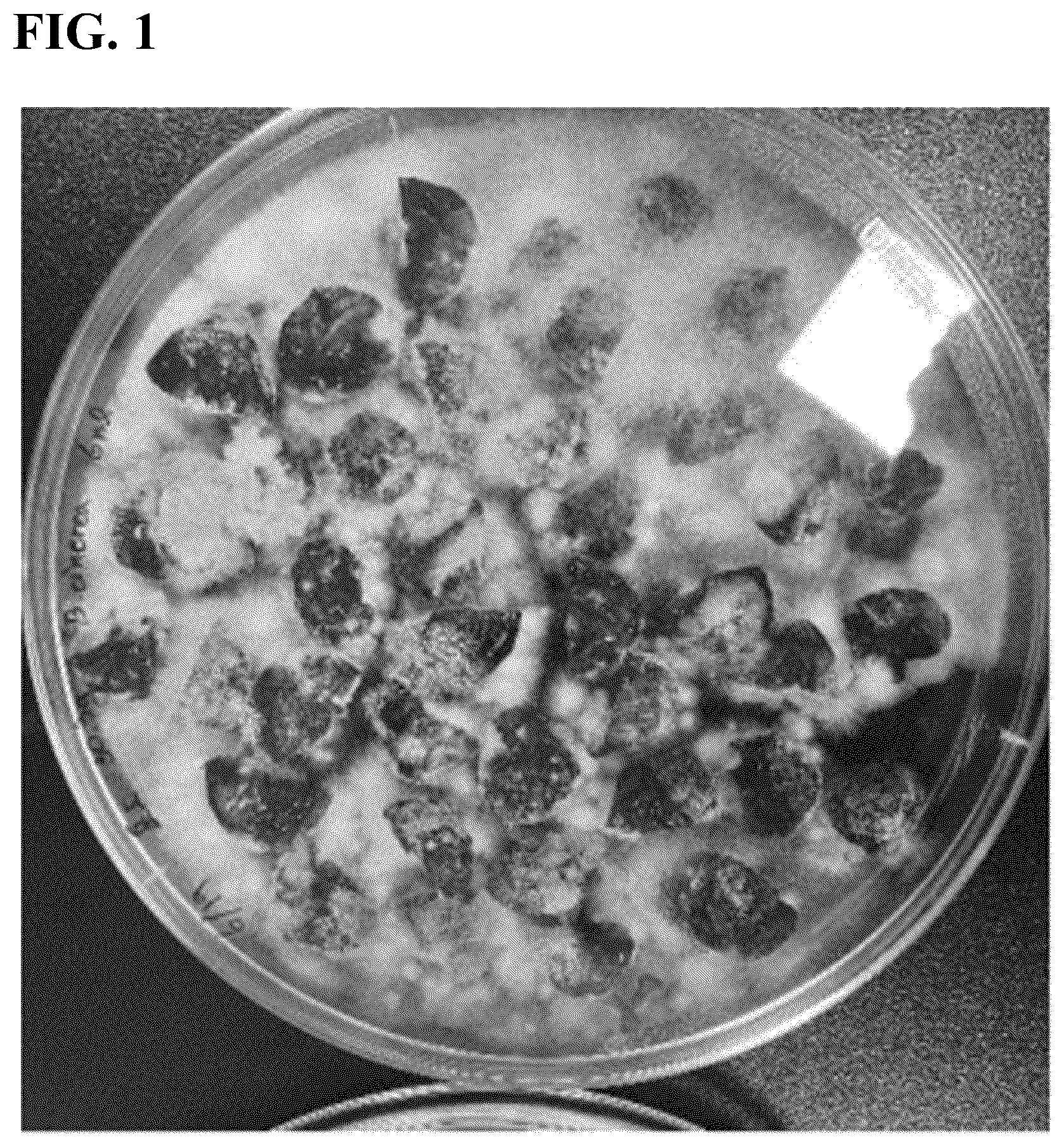 Patent US12576022 — Cosmetic composition comprising fermented grape extract — Figure 1