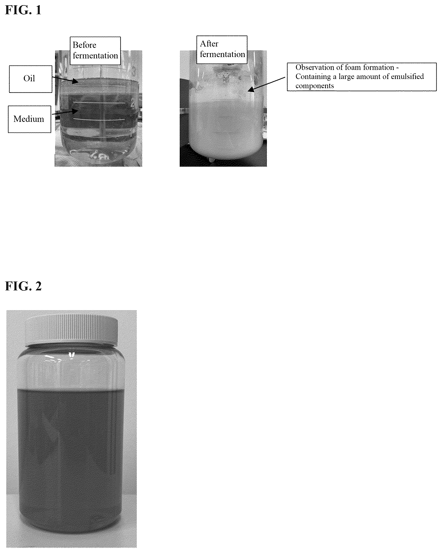 Patent US12576023 Figure 1 – Fermented nano-emulsifier composition and preparation method therefor