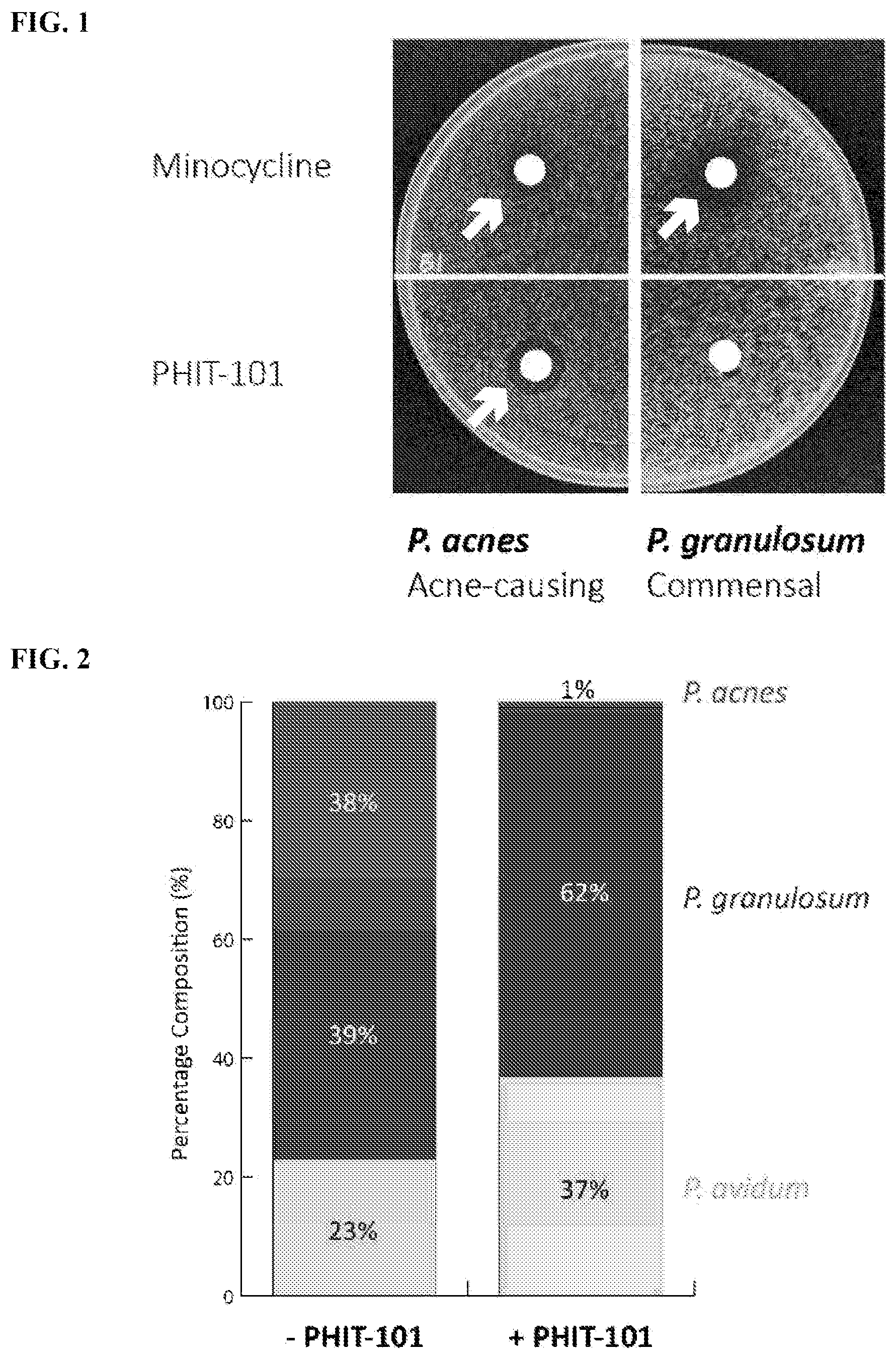 Patent US12576024 — Compositions comprising Propionibacterium acnes bacteriophages for treating acne — Figure 1