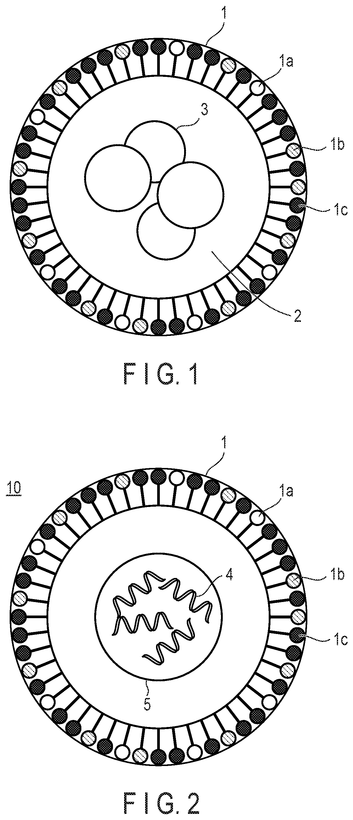 Patent US12576038 — Composition, lipid particle manufacturing kit, substance delivery method, and detection method — Figure 1
