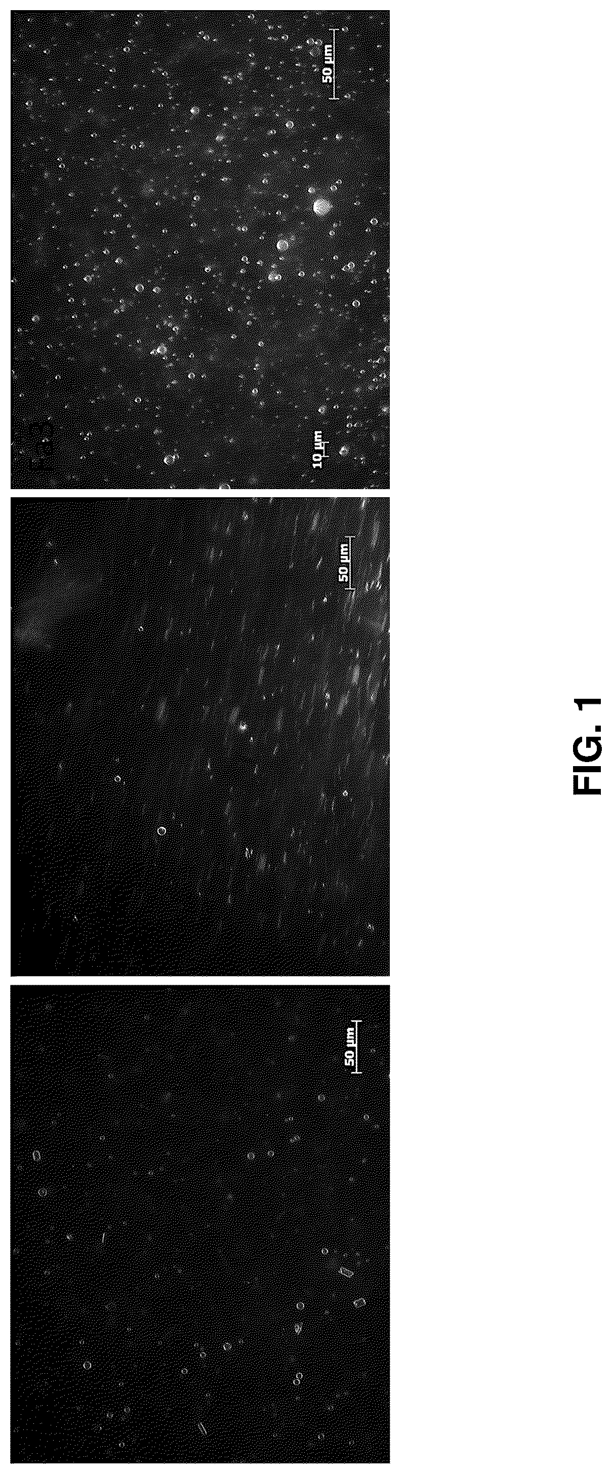 Patent US12576039 Figure 1 – Lipid-polymer compositions and methods of use